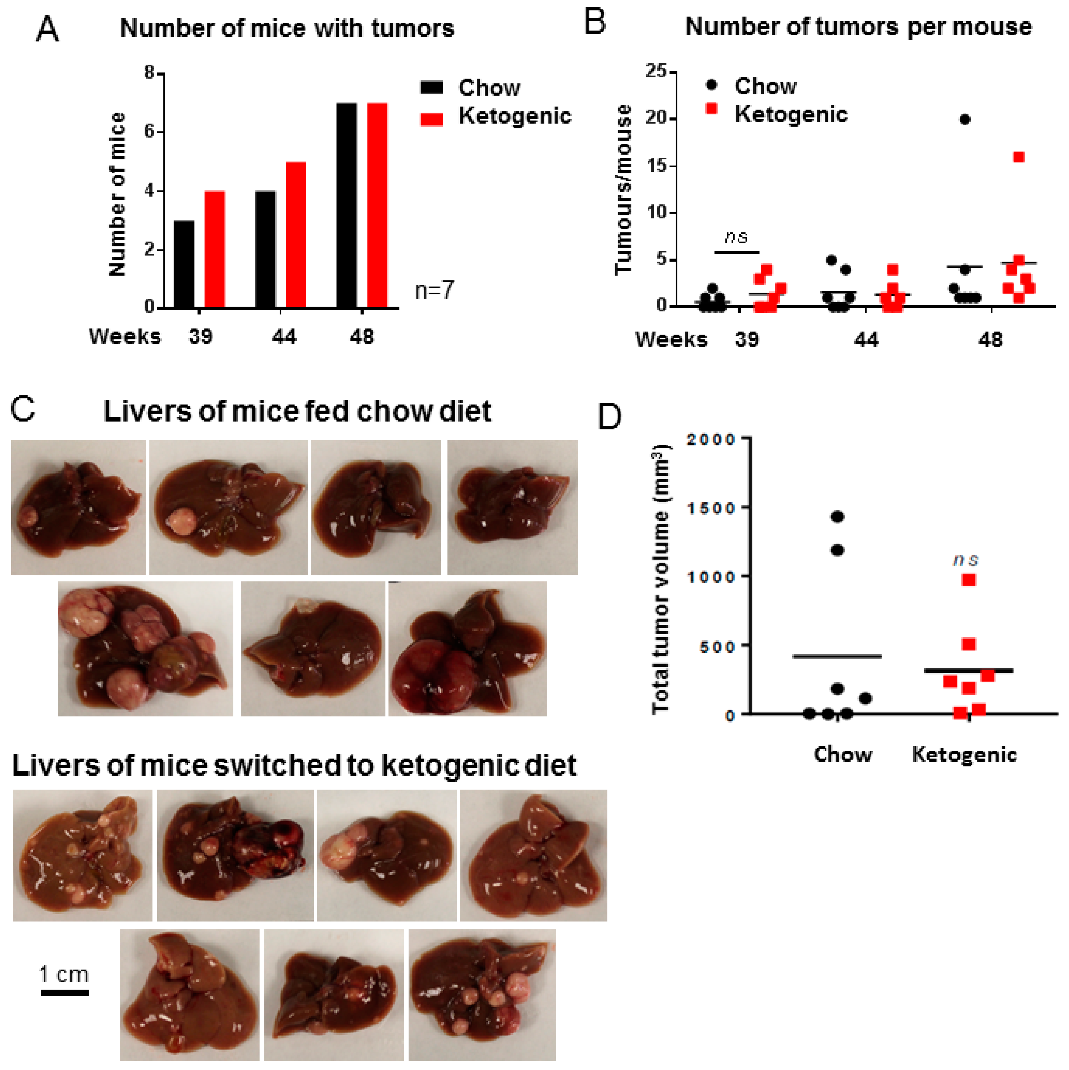 Cancers 10 00312 g003