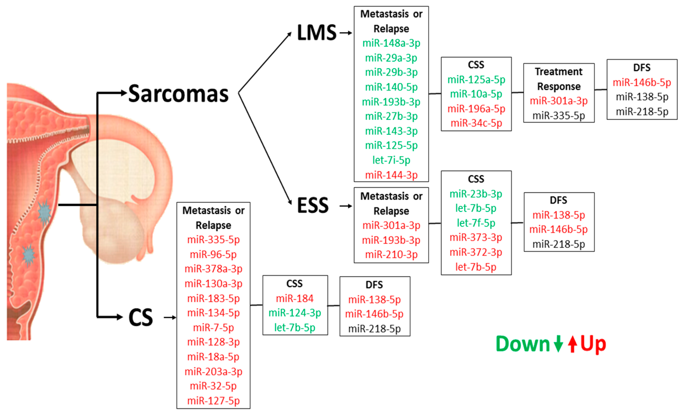 Cancers 10 00315 g008 Cancers 10 00315 g008