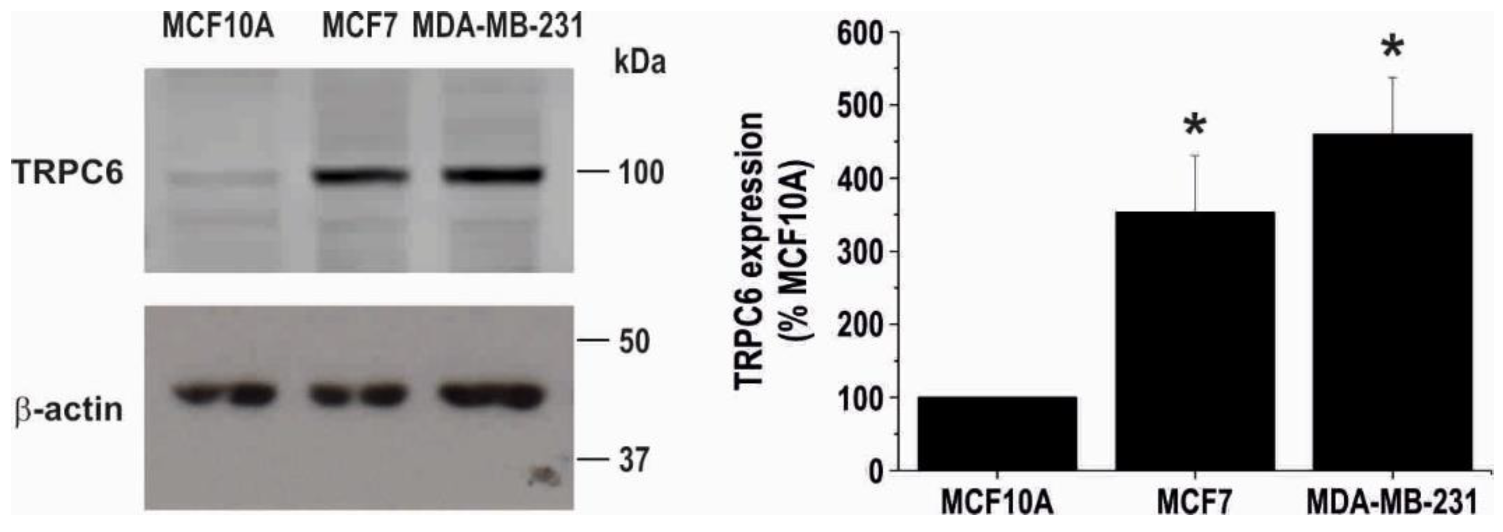 Cancers 10 00331 g001