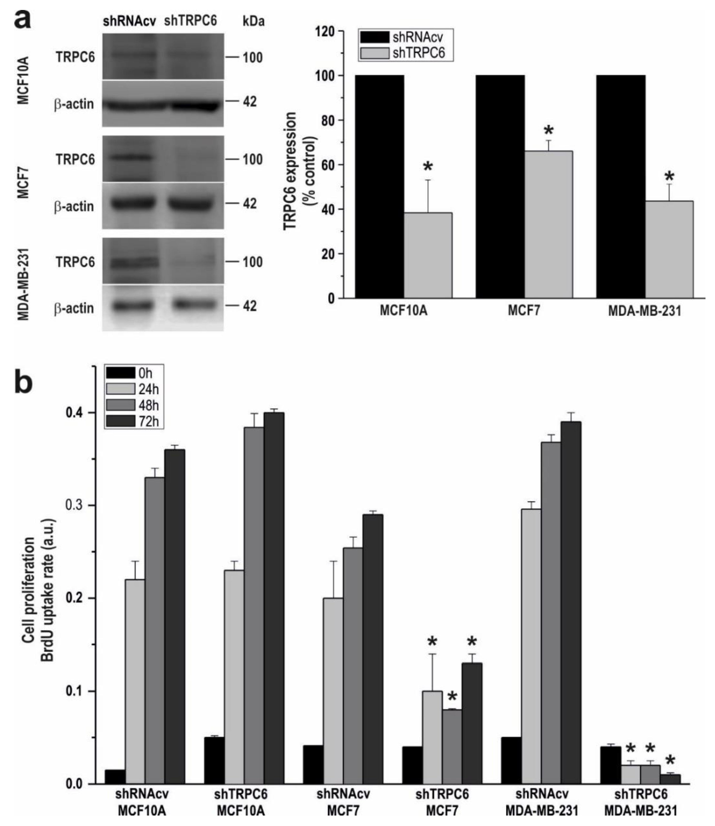 Cancers 10 00331 g002
