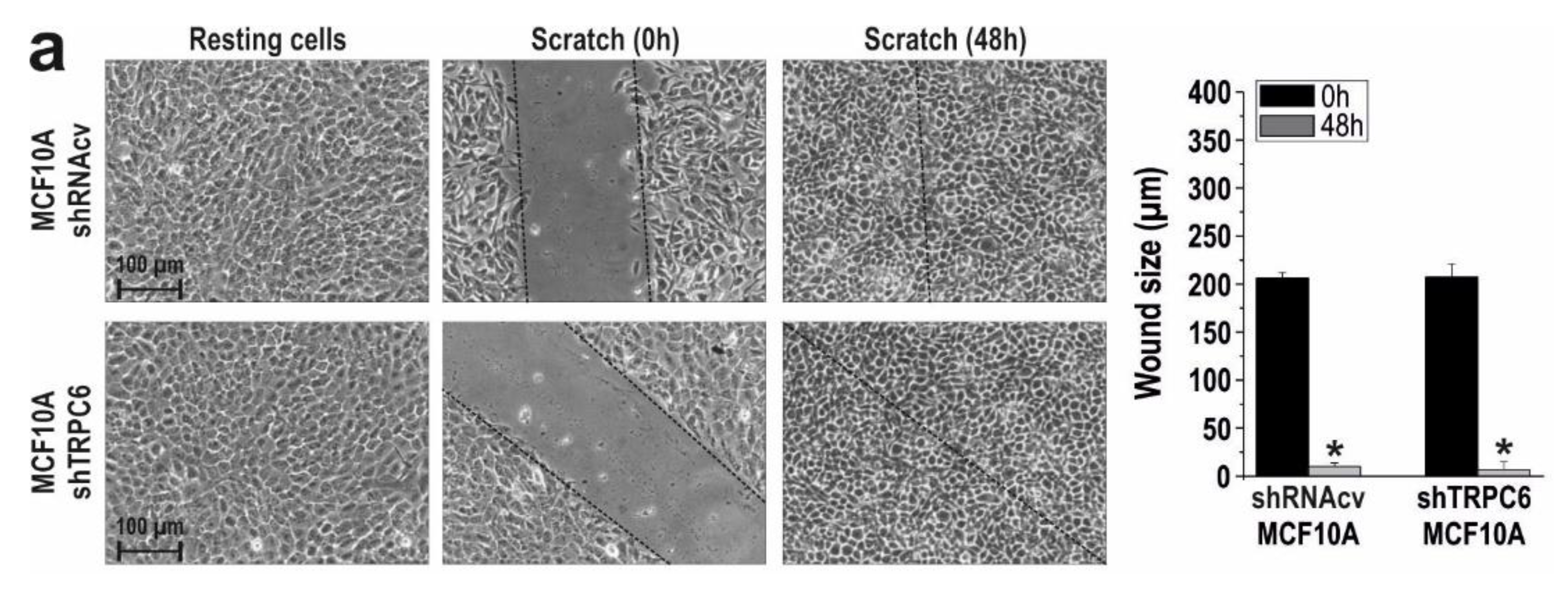 Cancers 10 00331 g003a