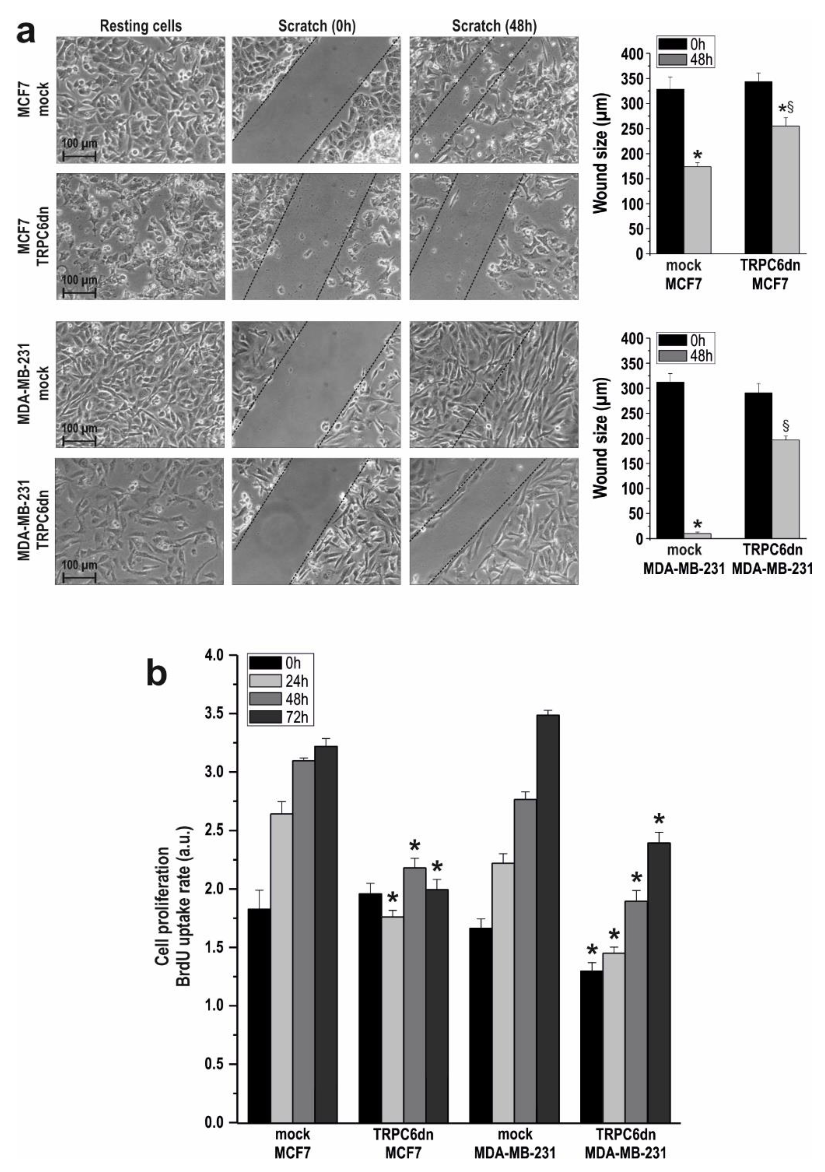 Cancers 10 00331 g004