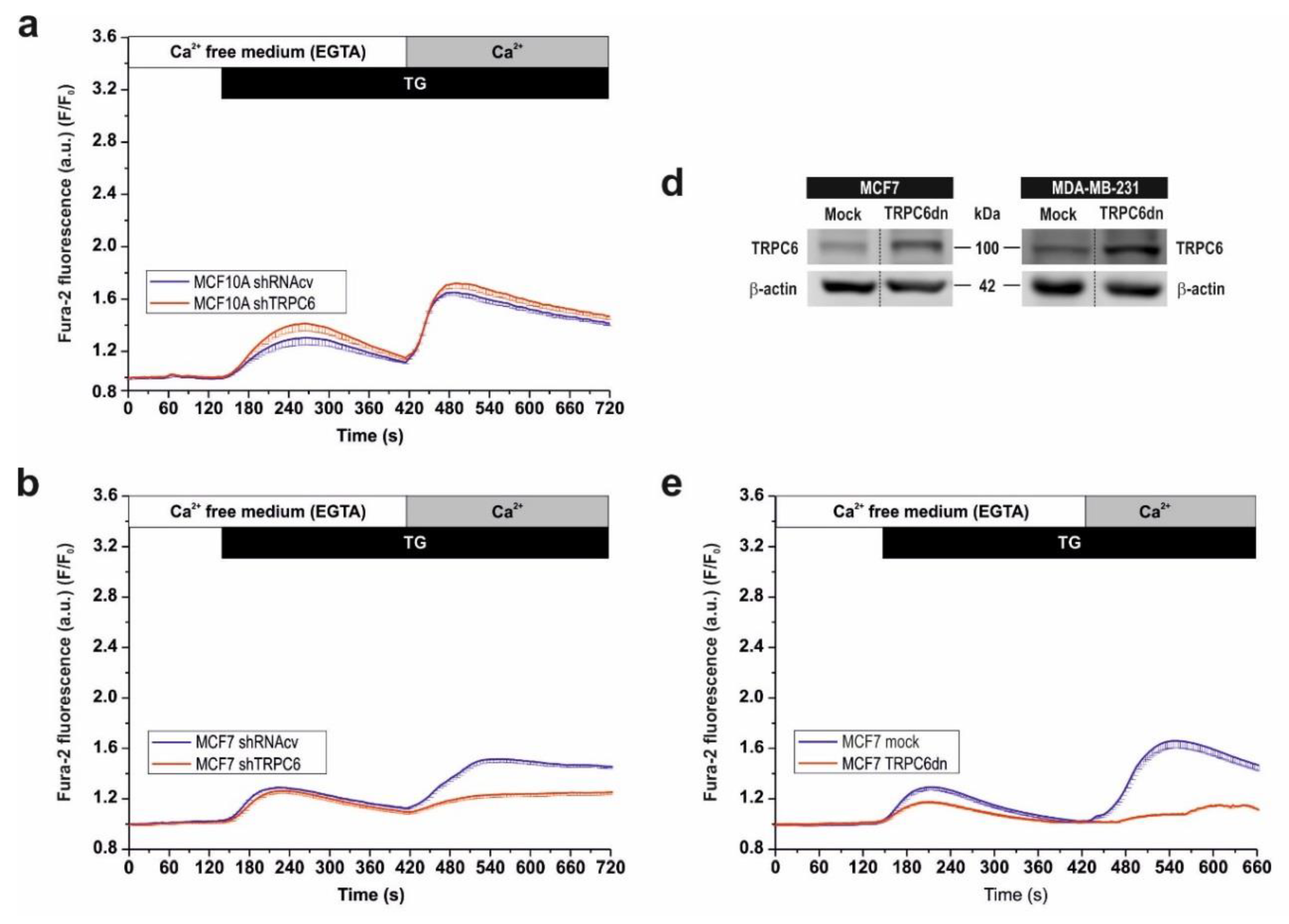 Cancers 10 00331 g005a