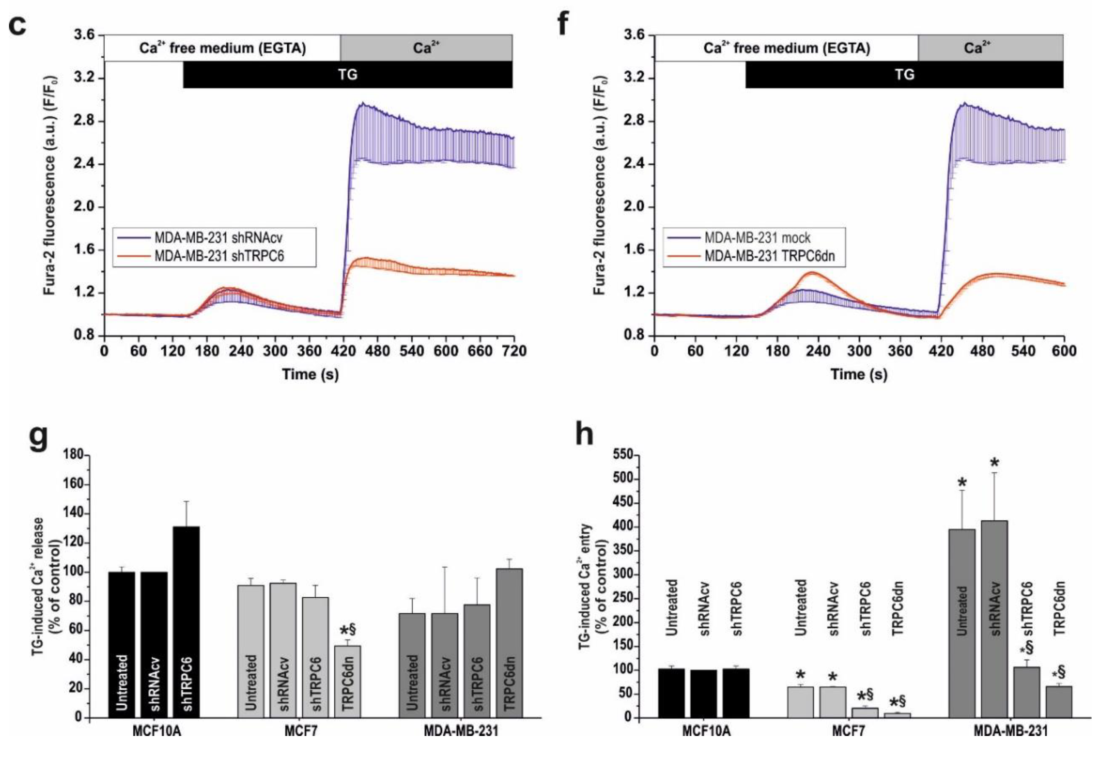 Cancers 10 00331 g005b