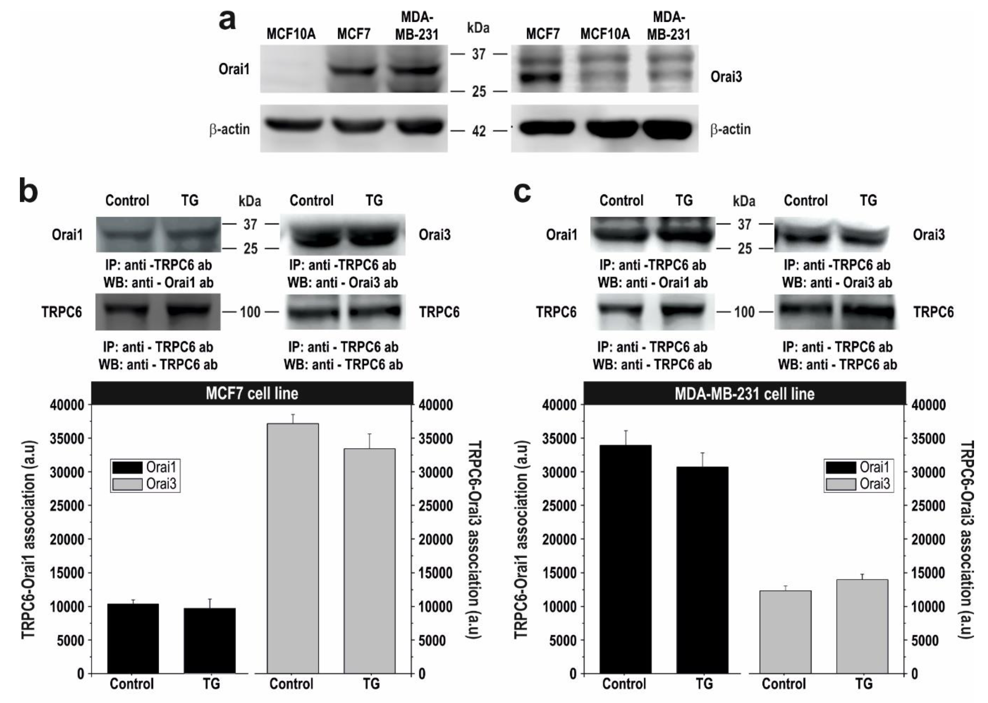 Cancers 10 00331 g006a
