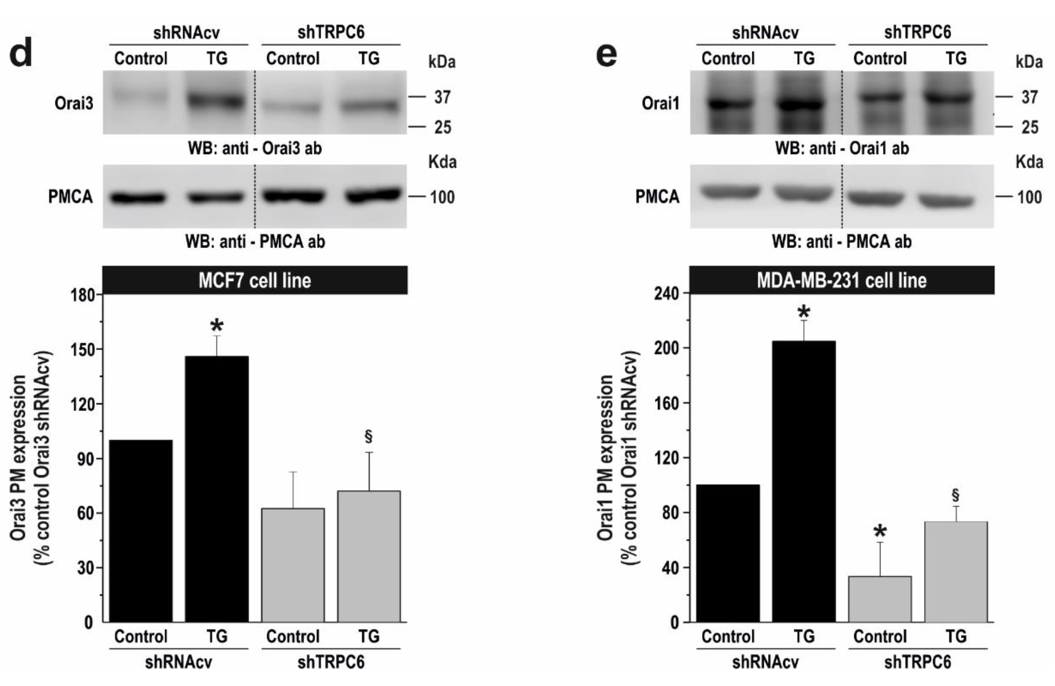Cancers 10 00331 g006b