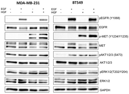 Cancers 10 00335 g0a2