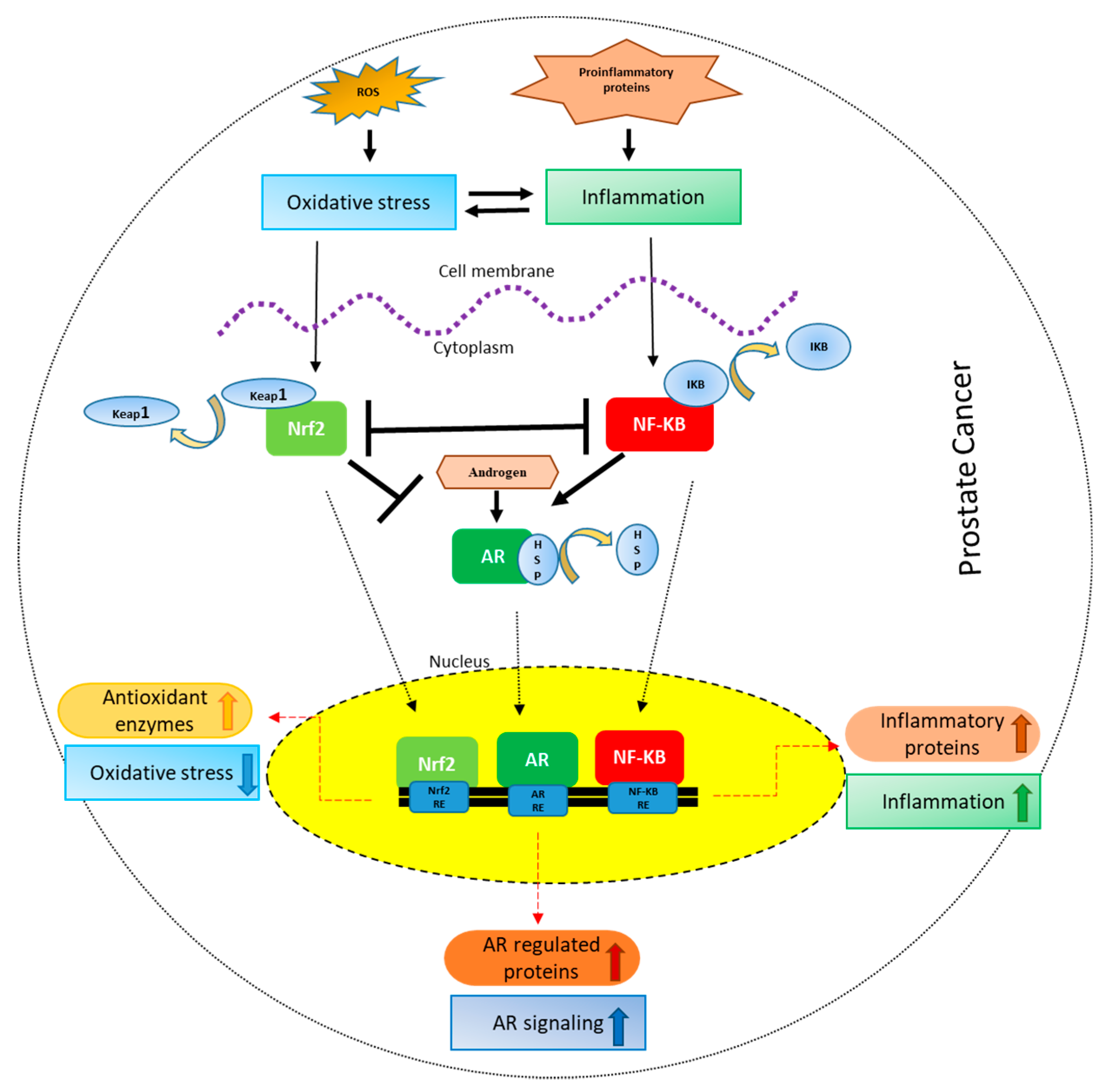 Cancers 10 00352 g001