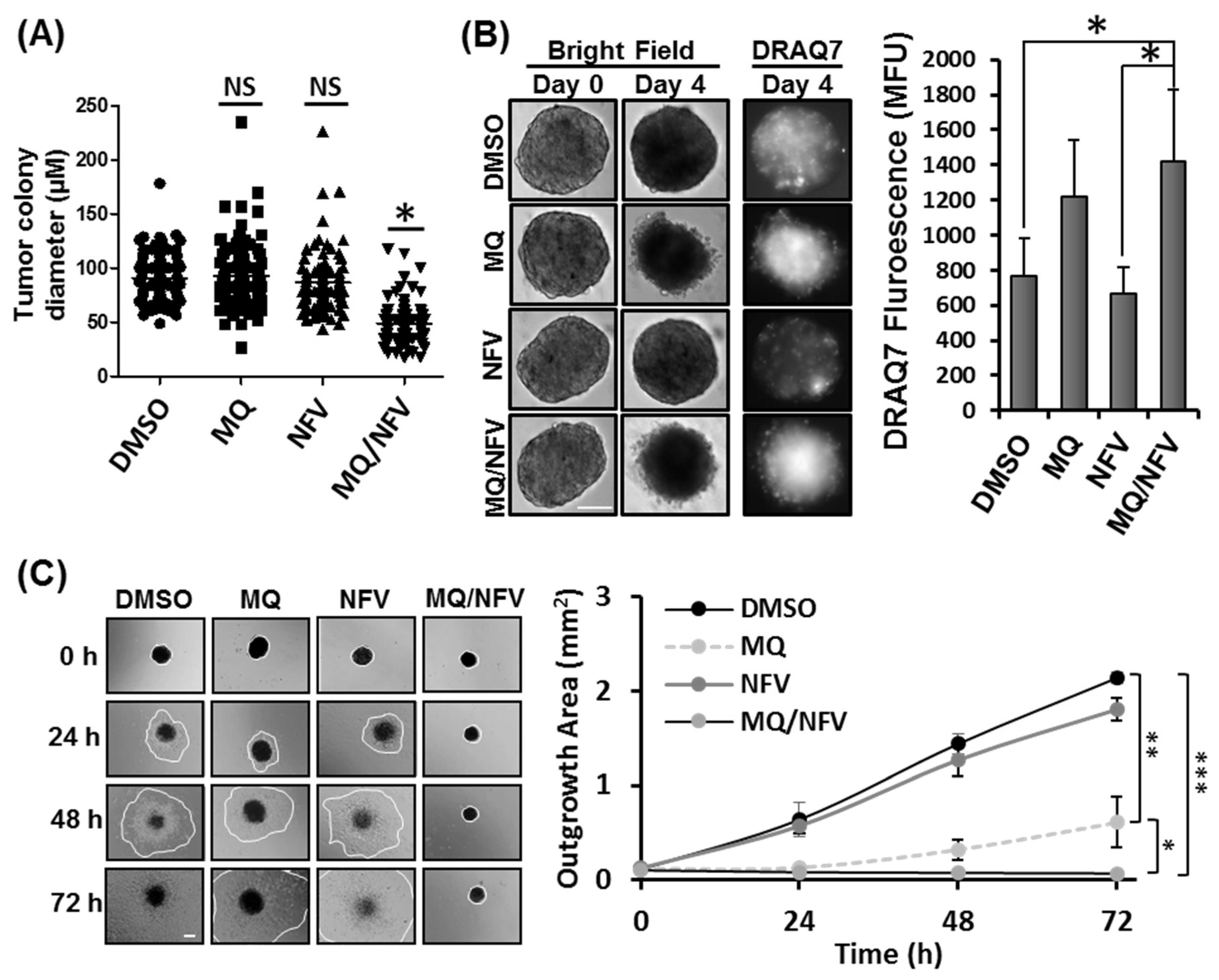Cancers 10 00375 g002 Cancers 10 00375 g002