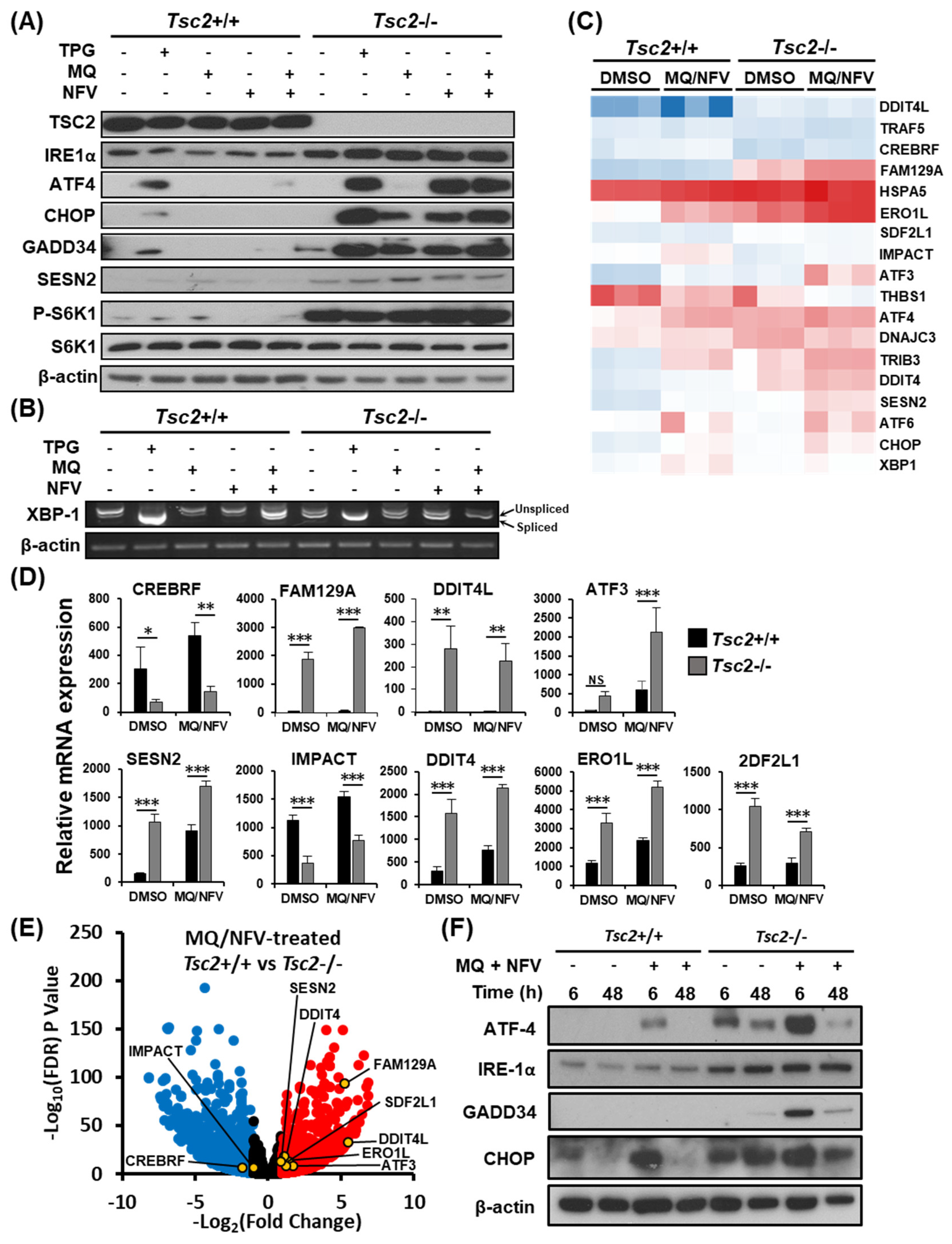 Cancers 10 00375 g003 Cancers 10 00375 g003