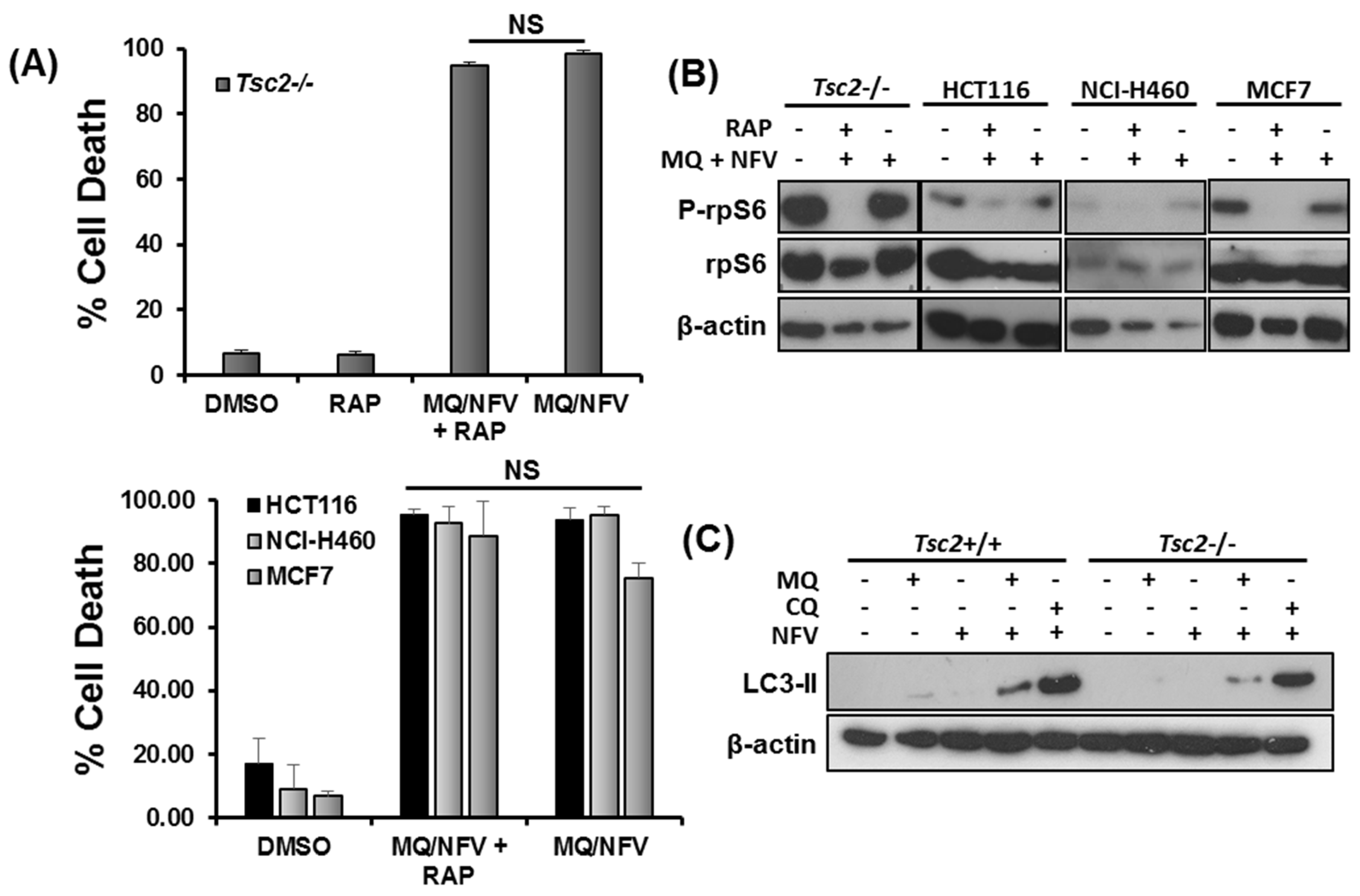Cancers 10 00375 g004 Cancers 10 00375 g004