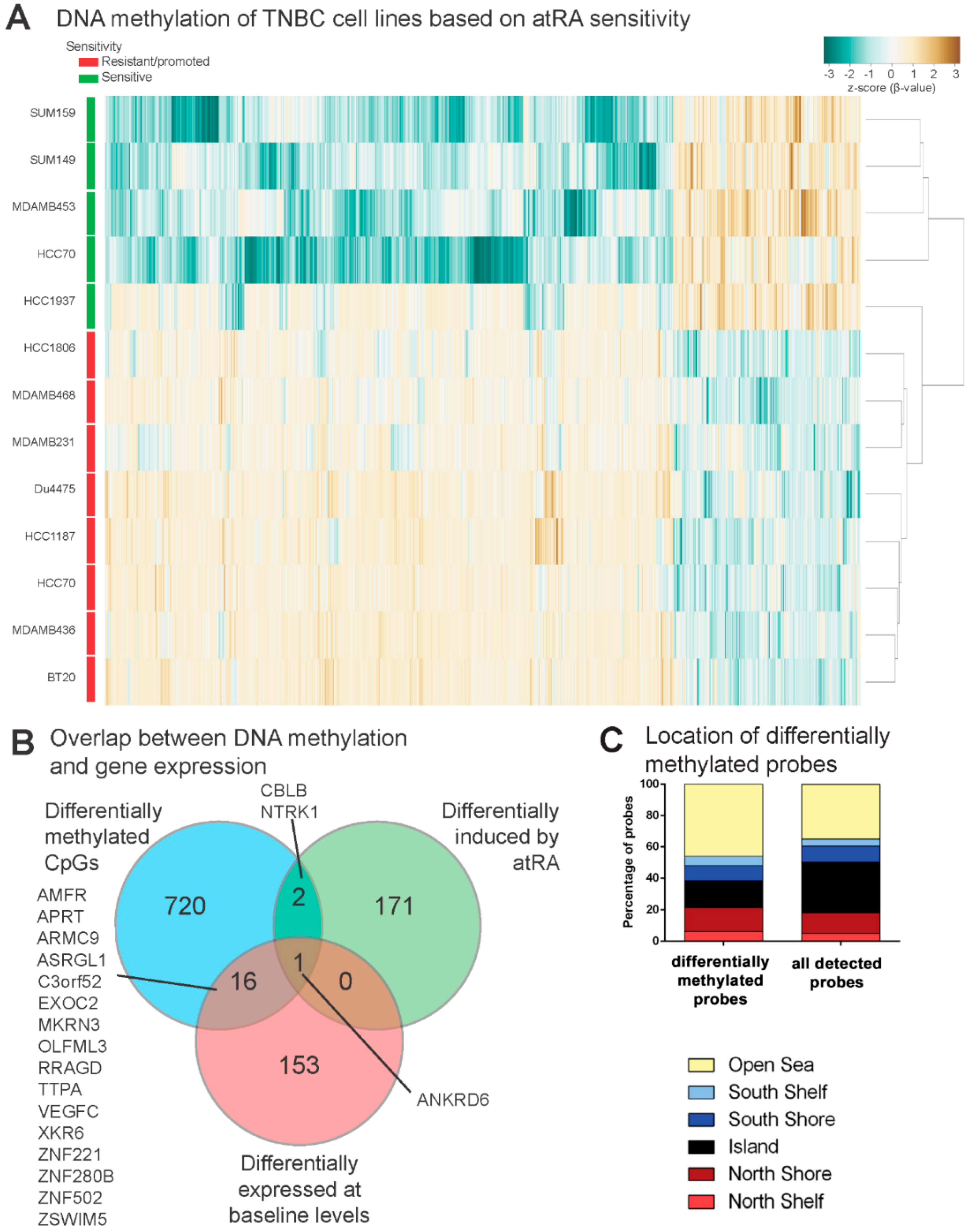 Cancers 10 00397 g004 Cancers 10 00397 g004