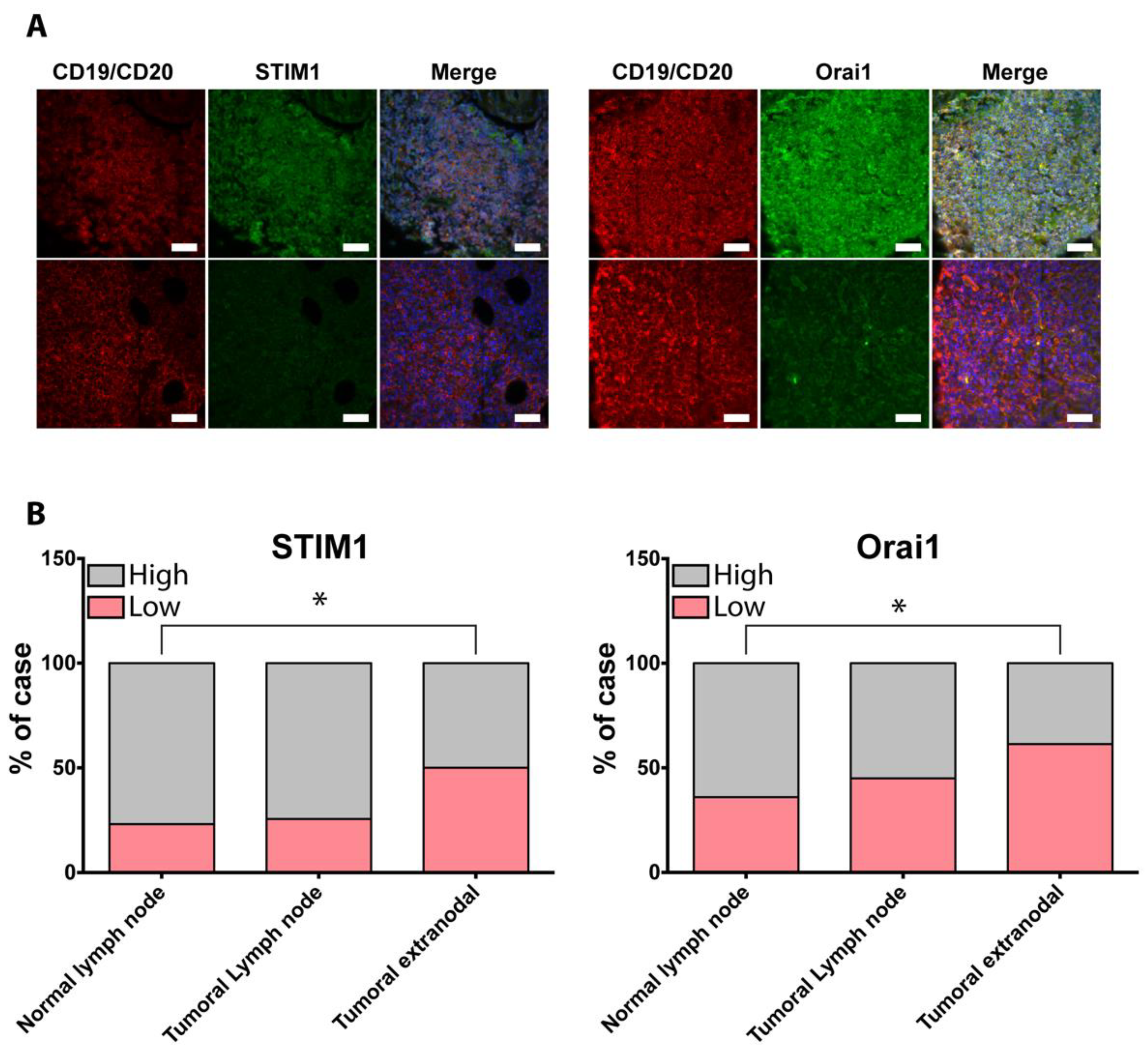 Cancers 10 00402 g005