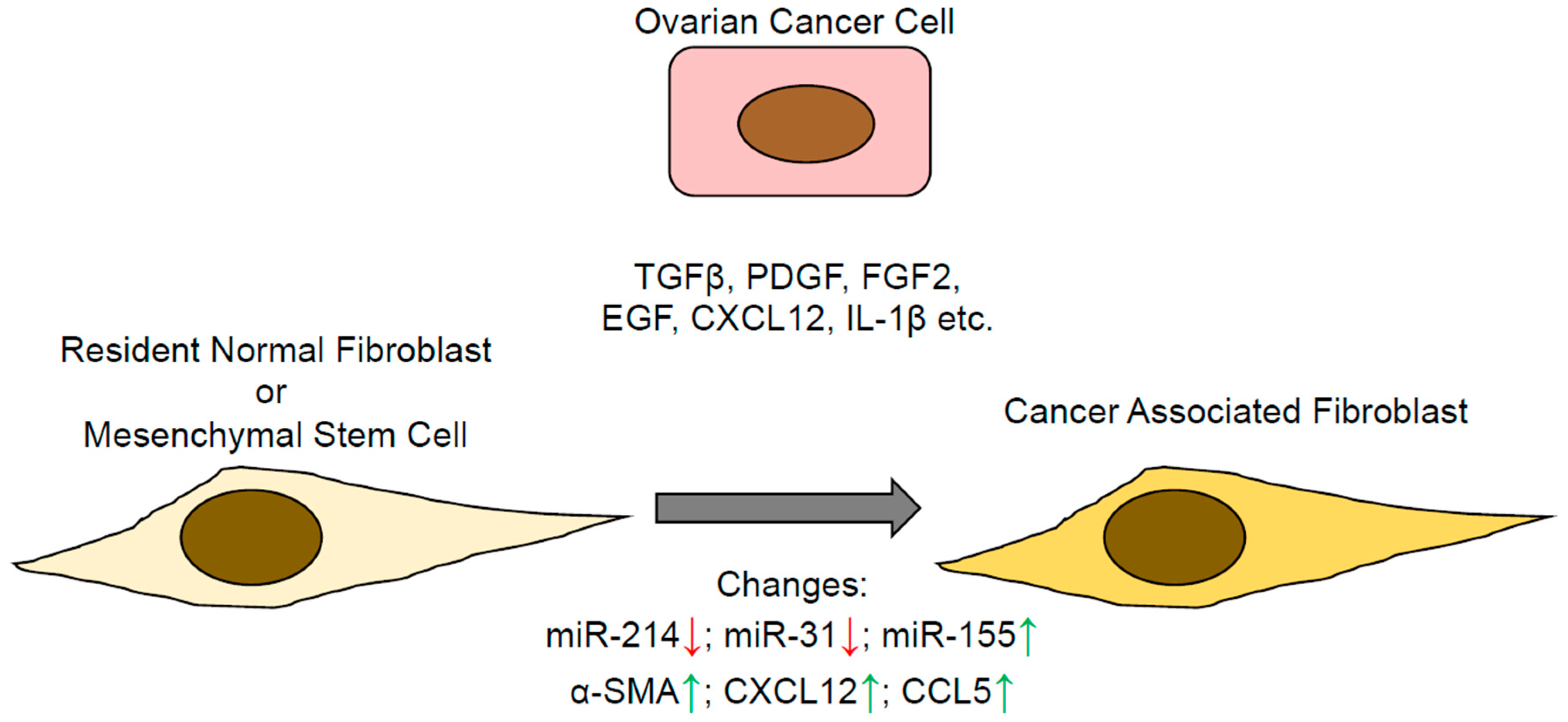 Cancers 10 00406 g001