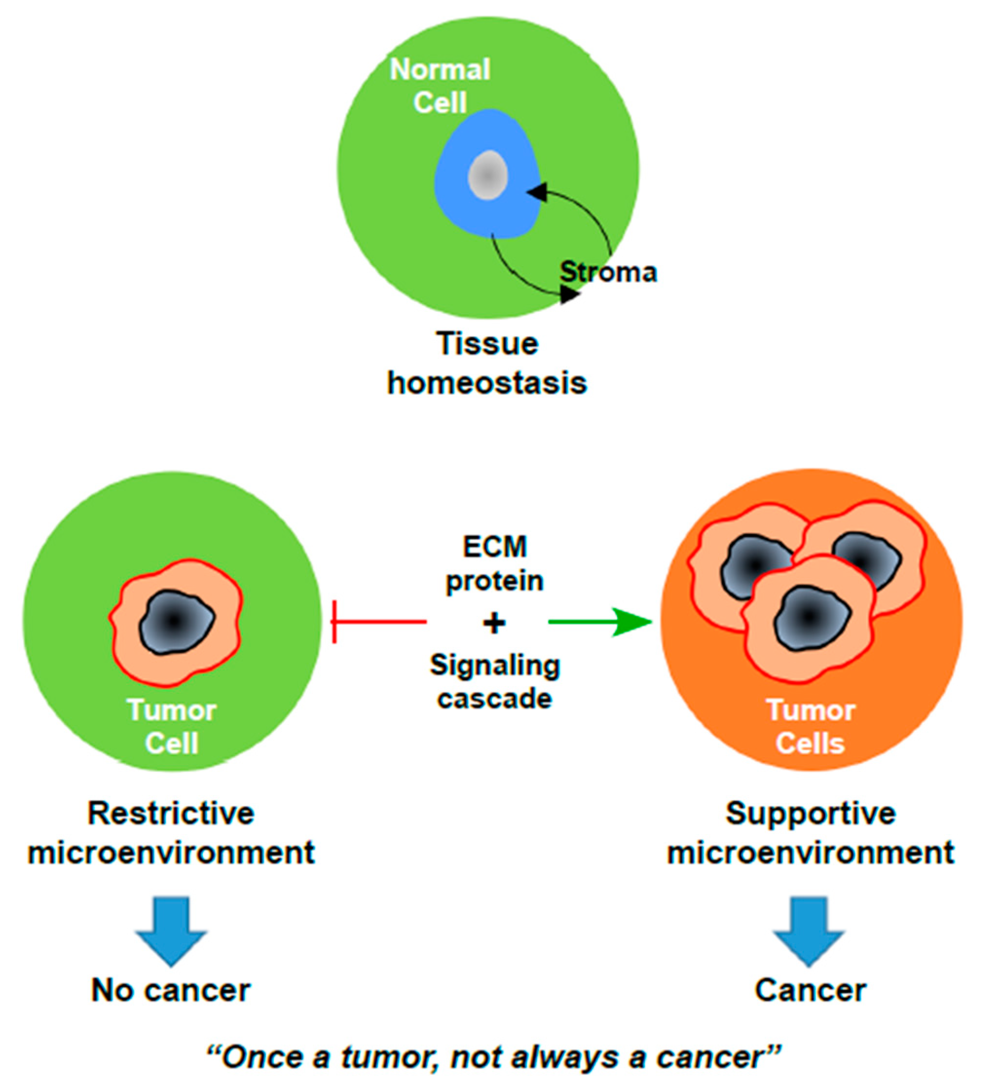 Cancers 10 00408 g001