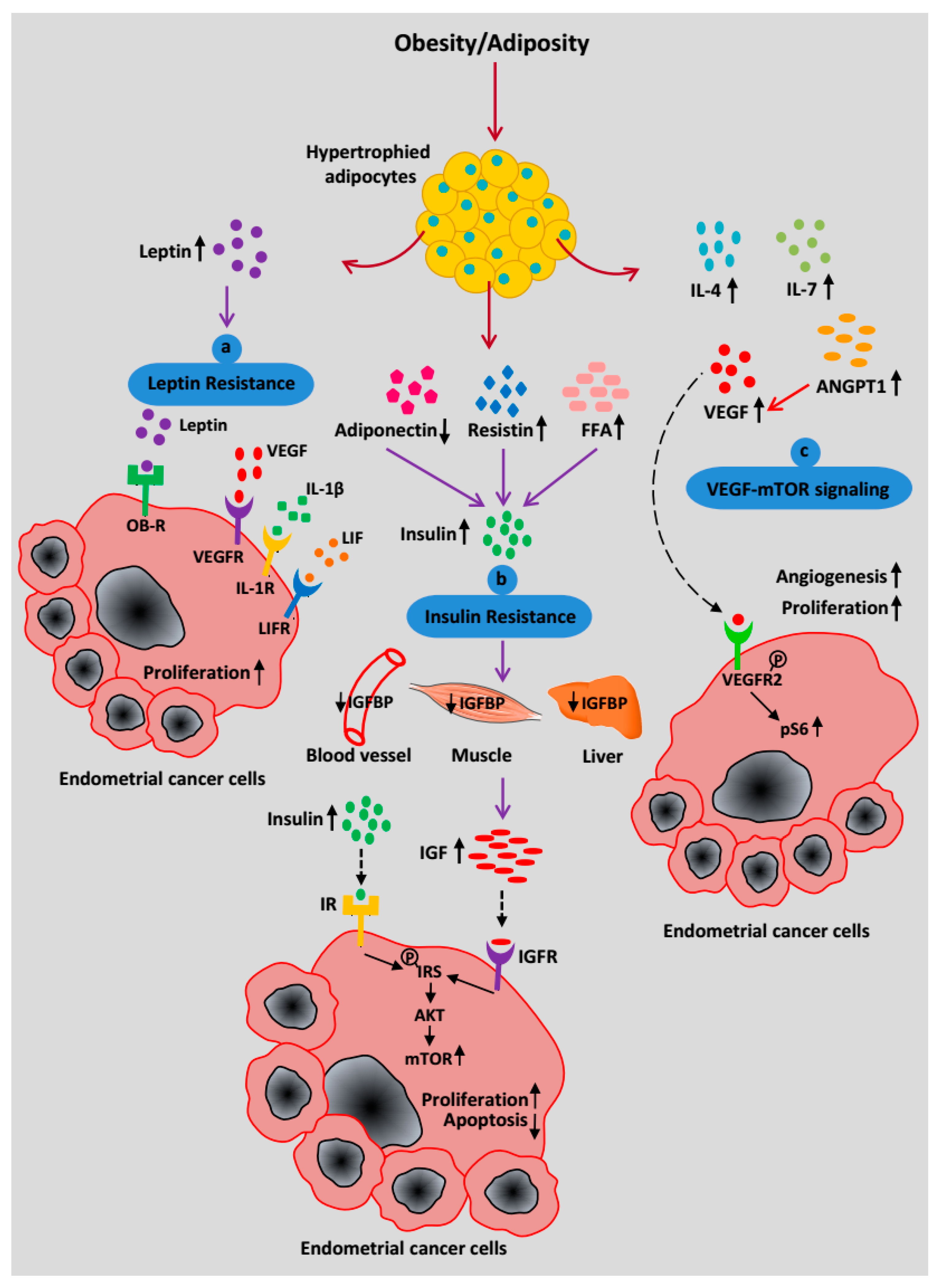 Cancers 10 00408 g003