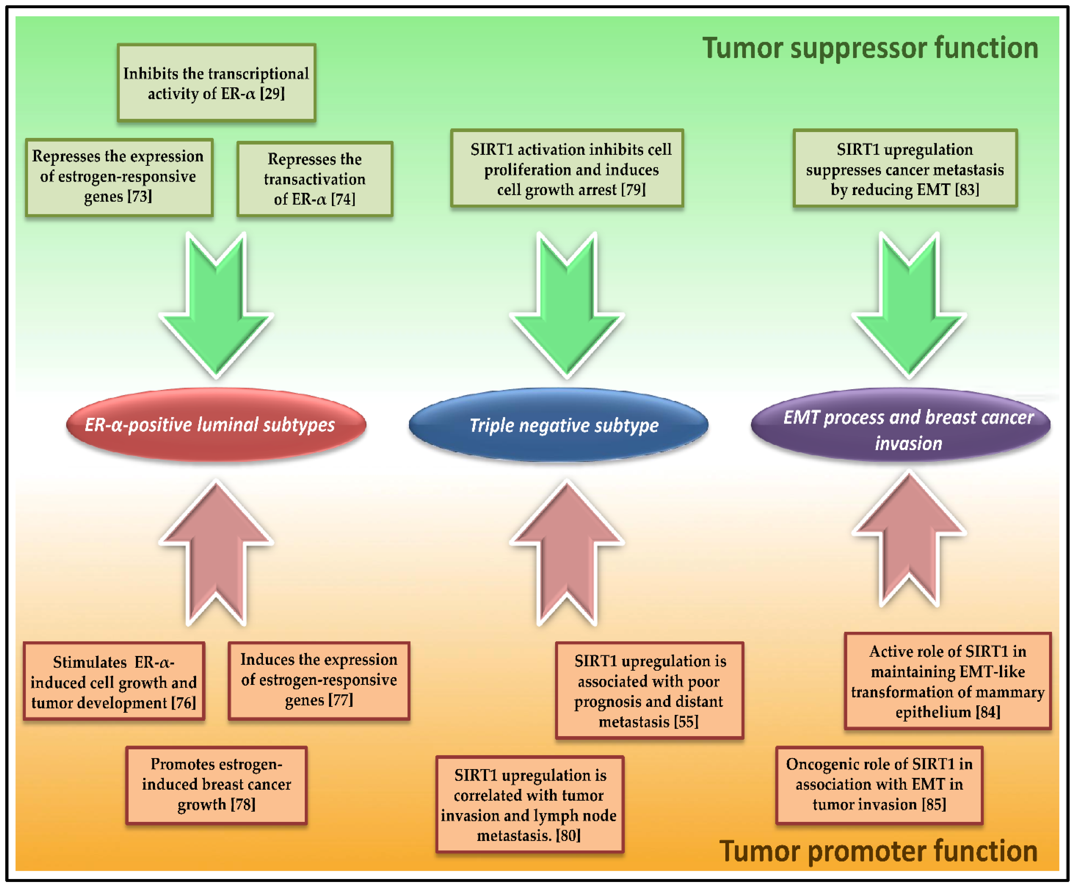 Cancers 10 00409 g001