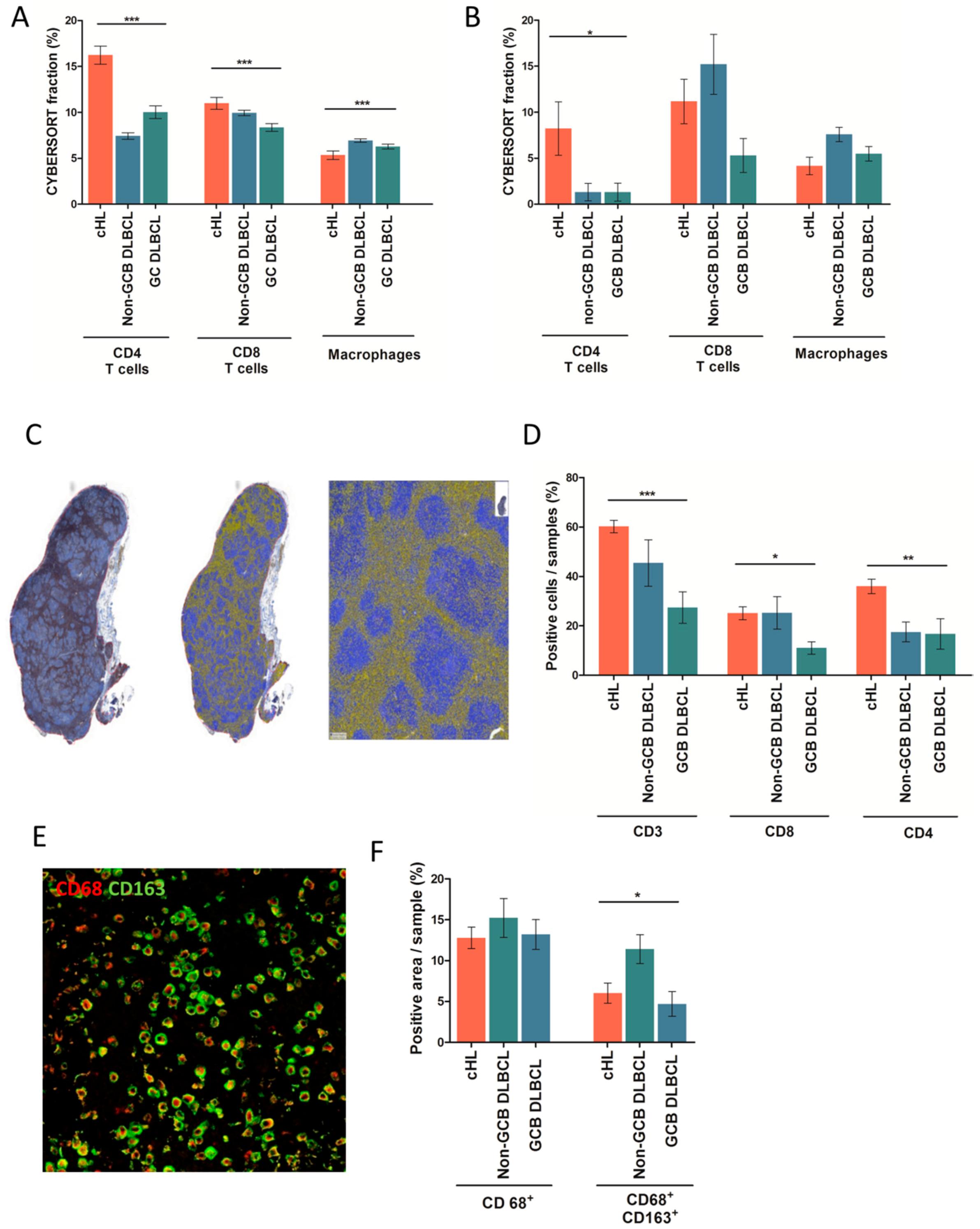 Cancers 10 00415 g002