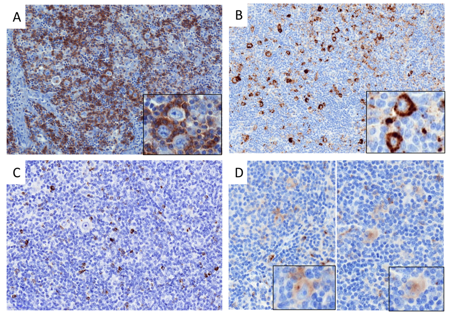 Cancers 10 00415 g003