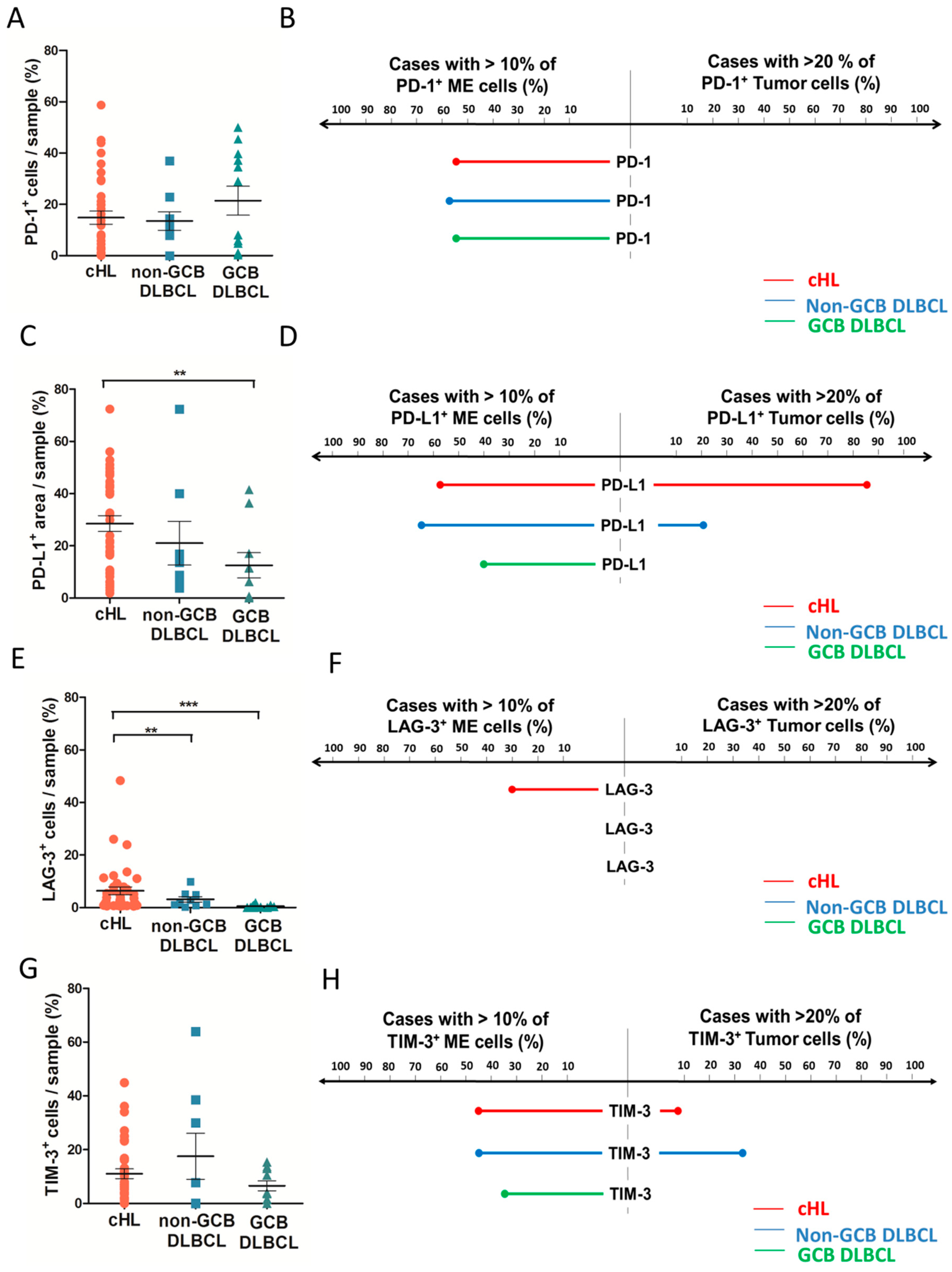 Cancers 10 00415 g004