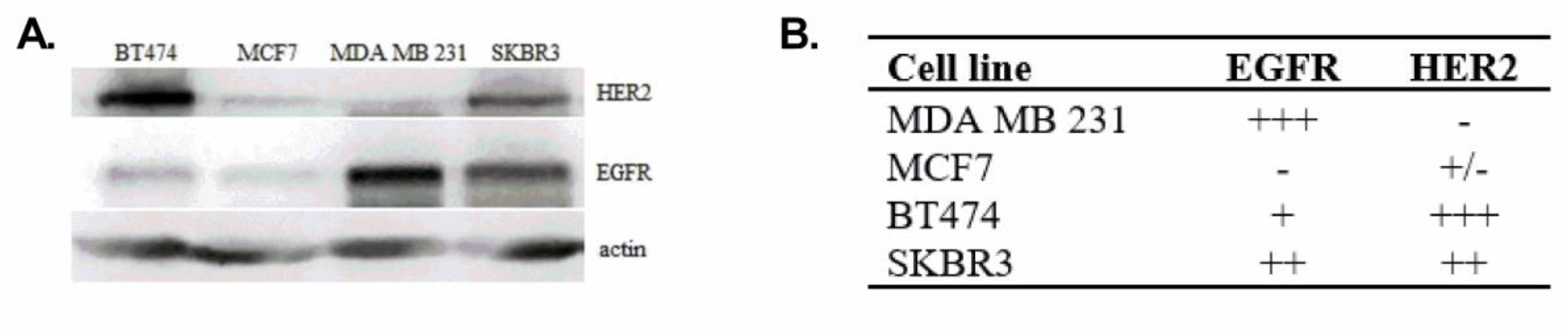 Cancers 10 00418 g004