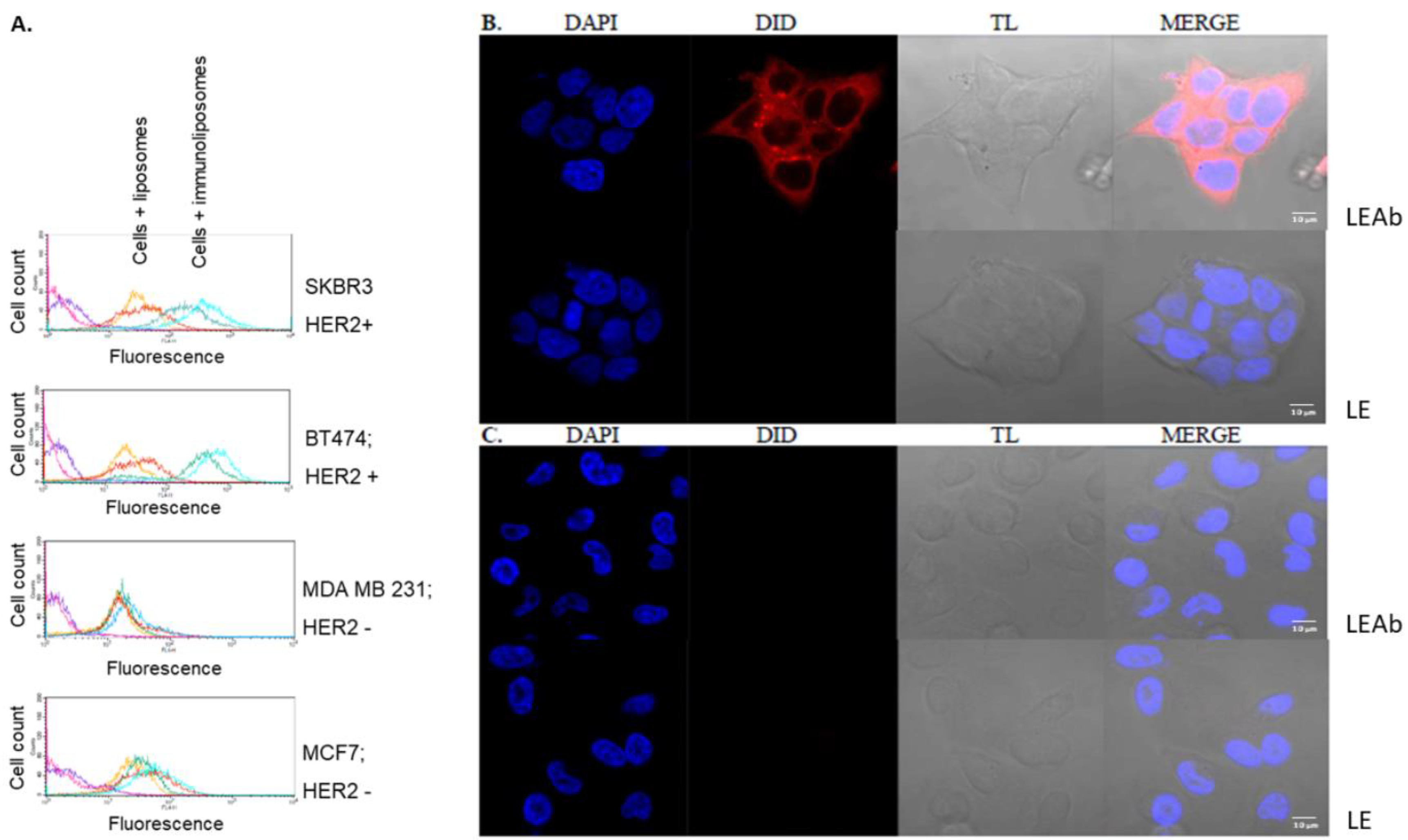 Cancers 10 00418 g006