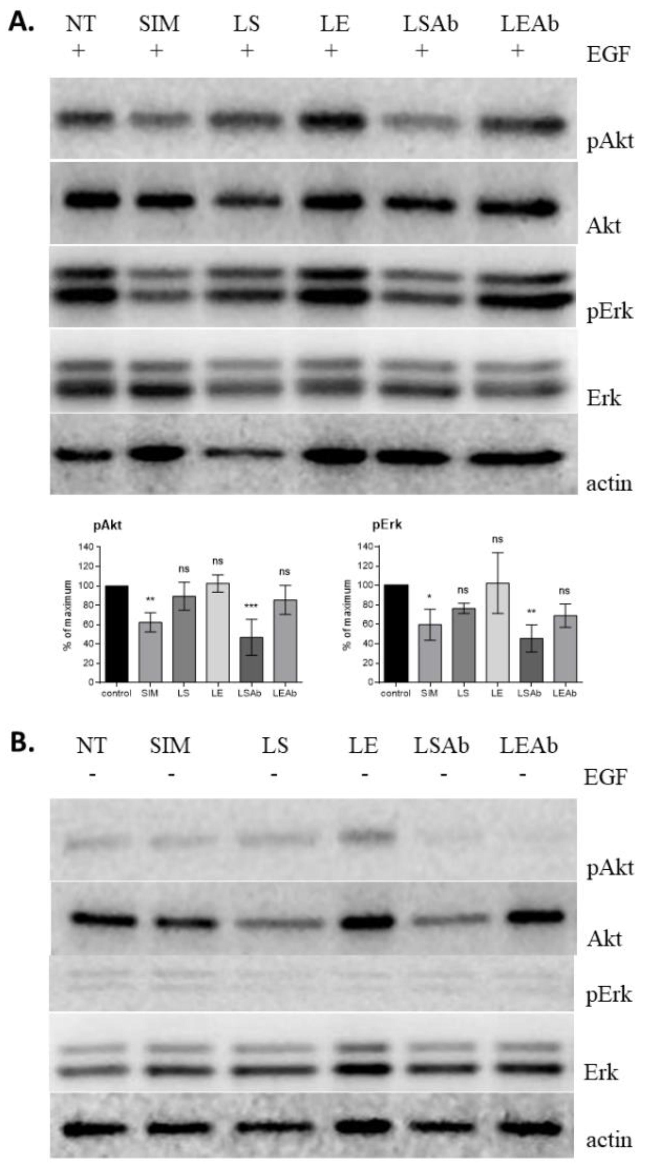 Cancers 10 00418 g008
