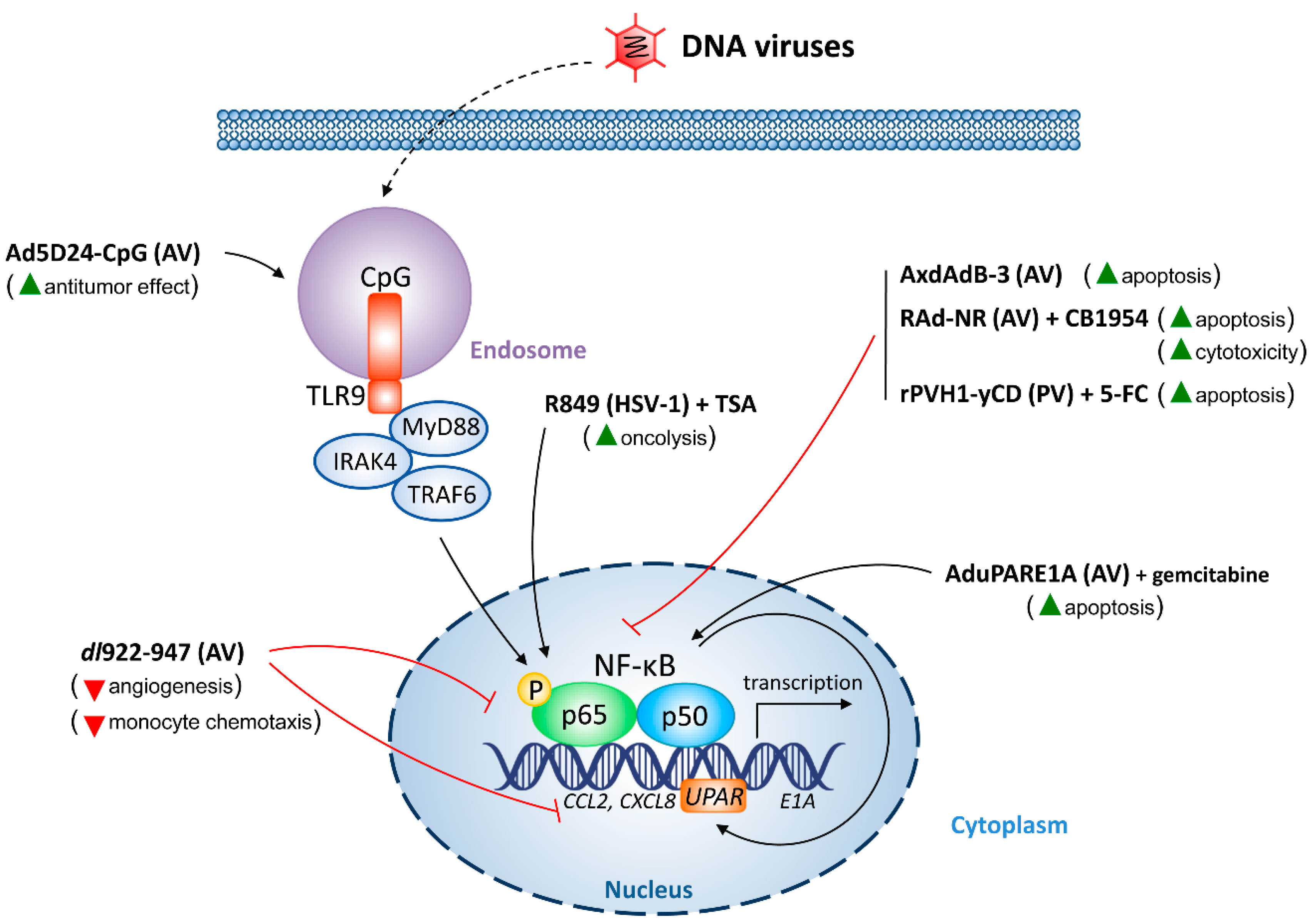 Cancers 10 00426 g002