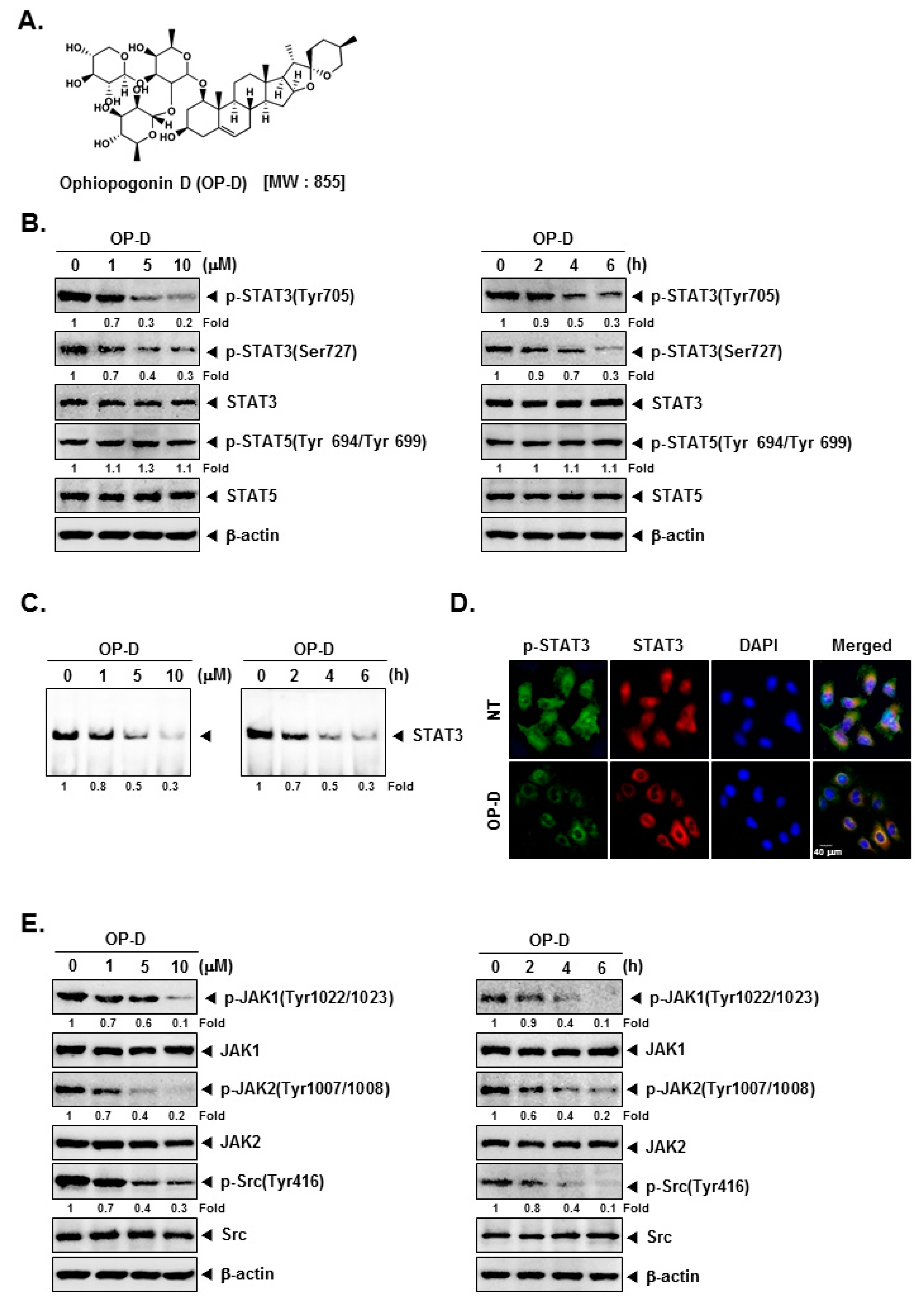 Cancers 10 00427 g001 Cancers 10 00427 g001