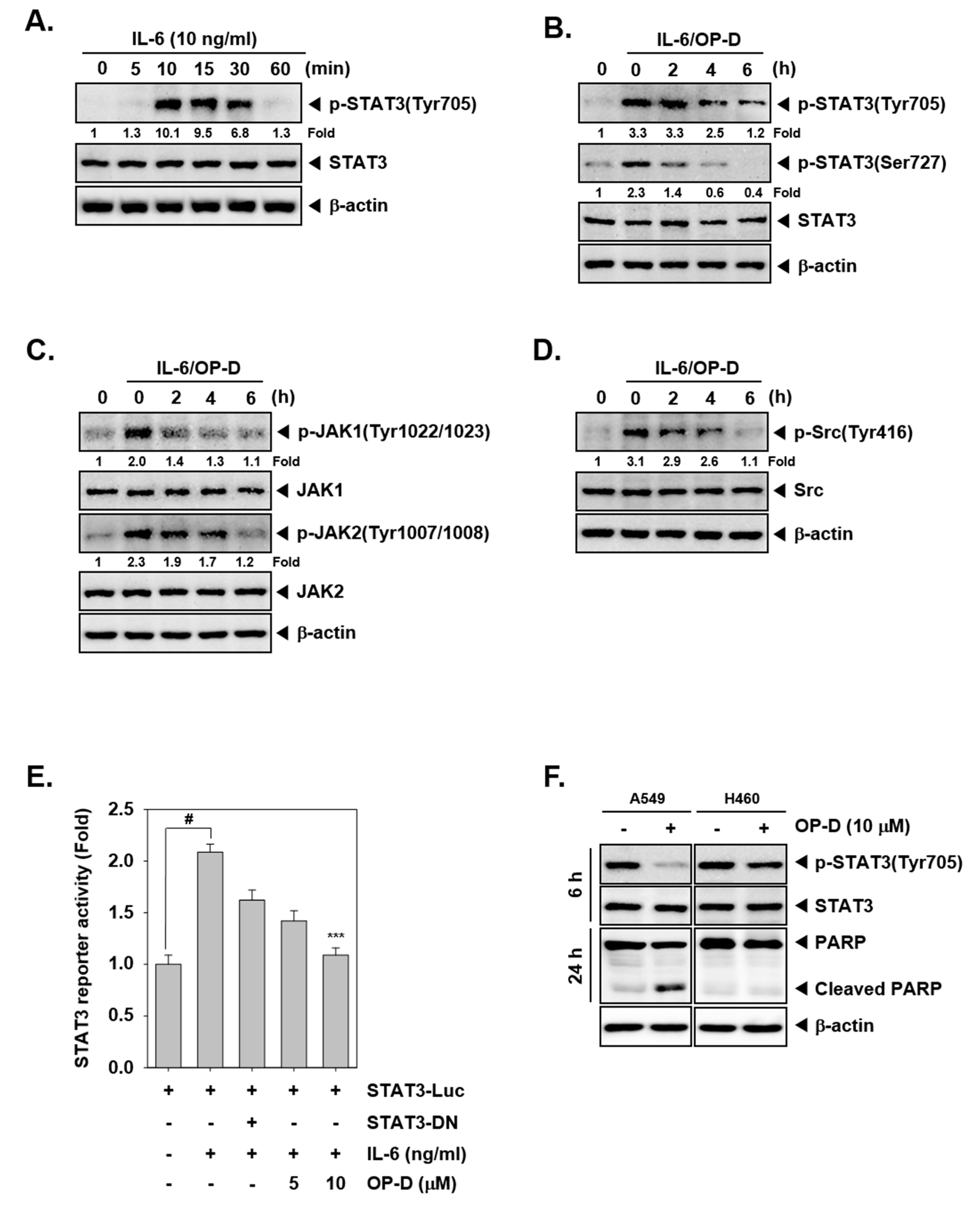 Cancers 10 00427 g002 Cancers 10 00427 g002