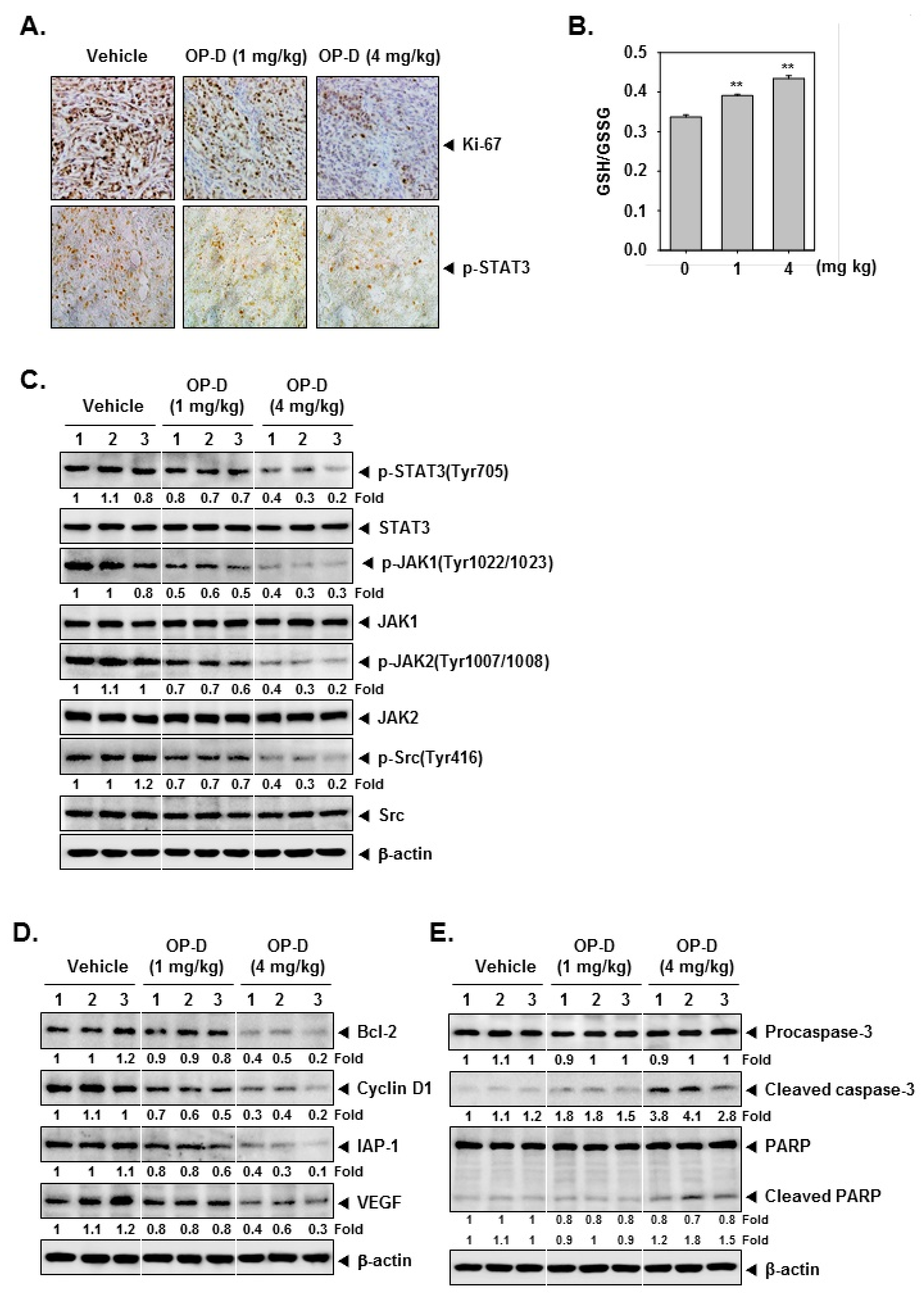 Cancers 10 00427 g007 Cancers 10 00427 g007