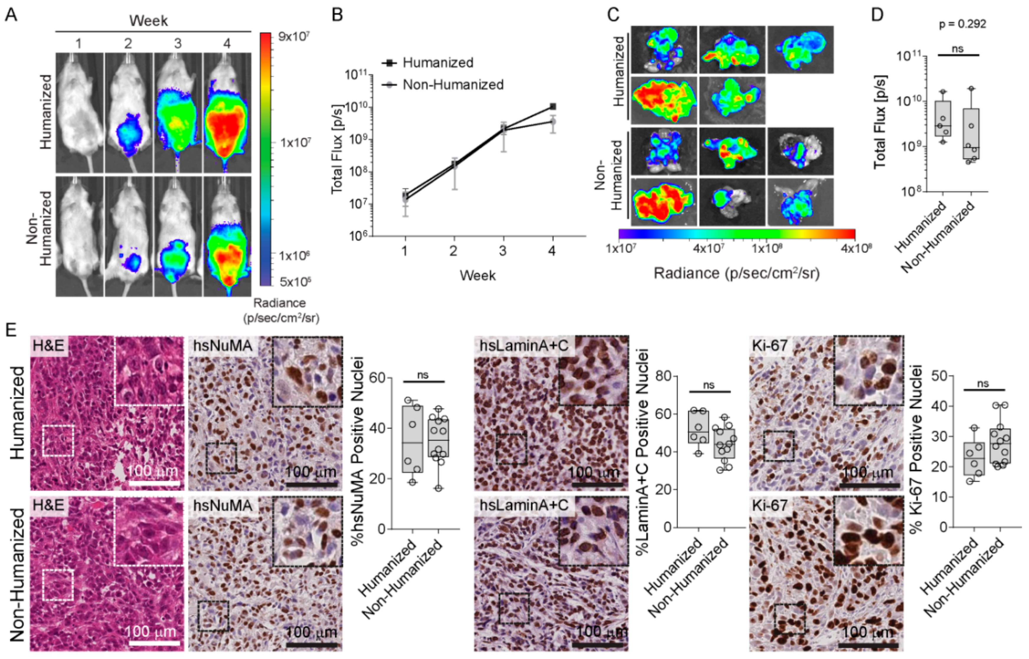 Cancers 10 00438 g002