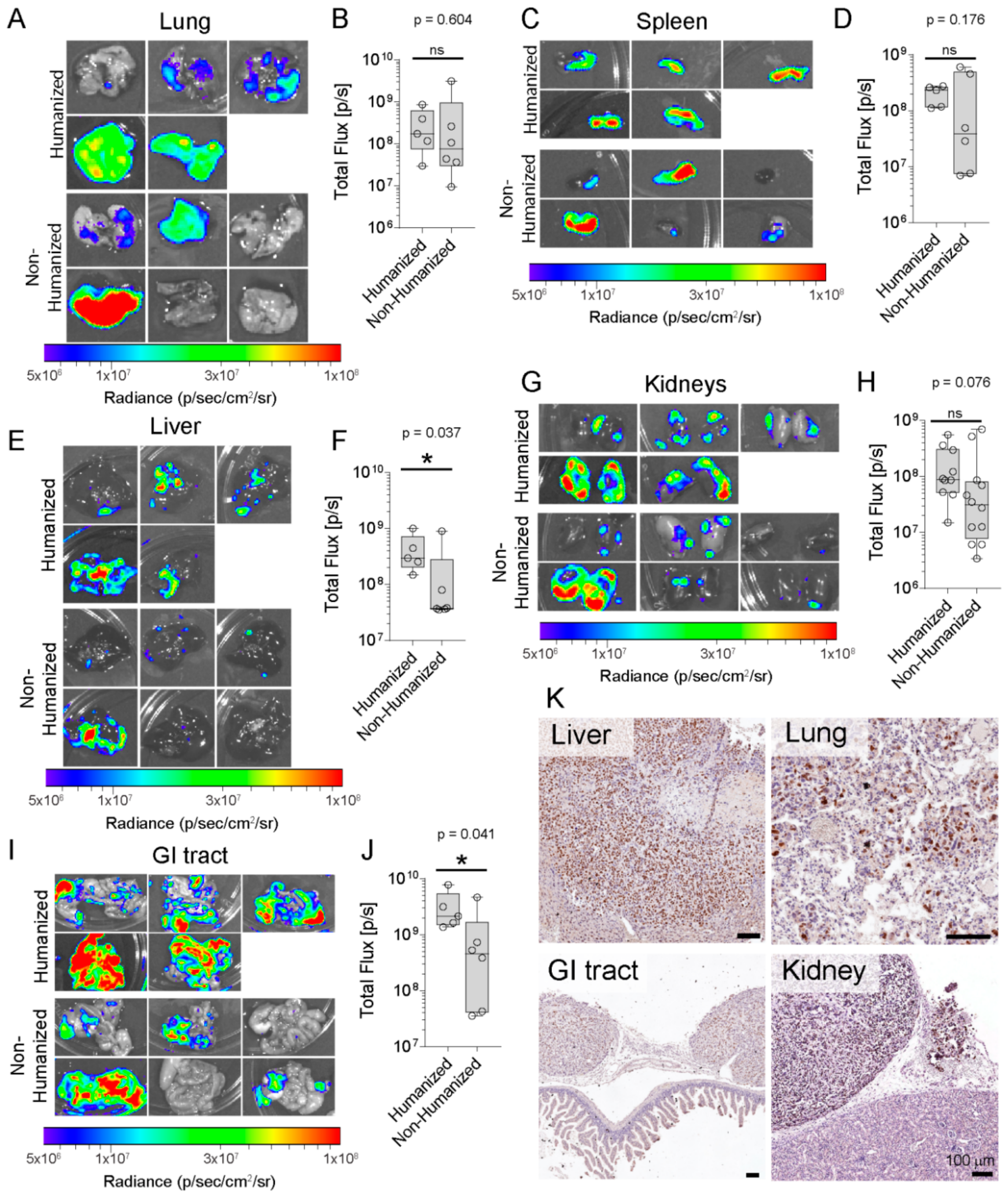 Cancers 10 00438 g004