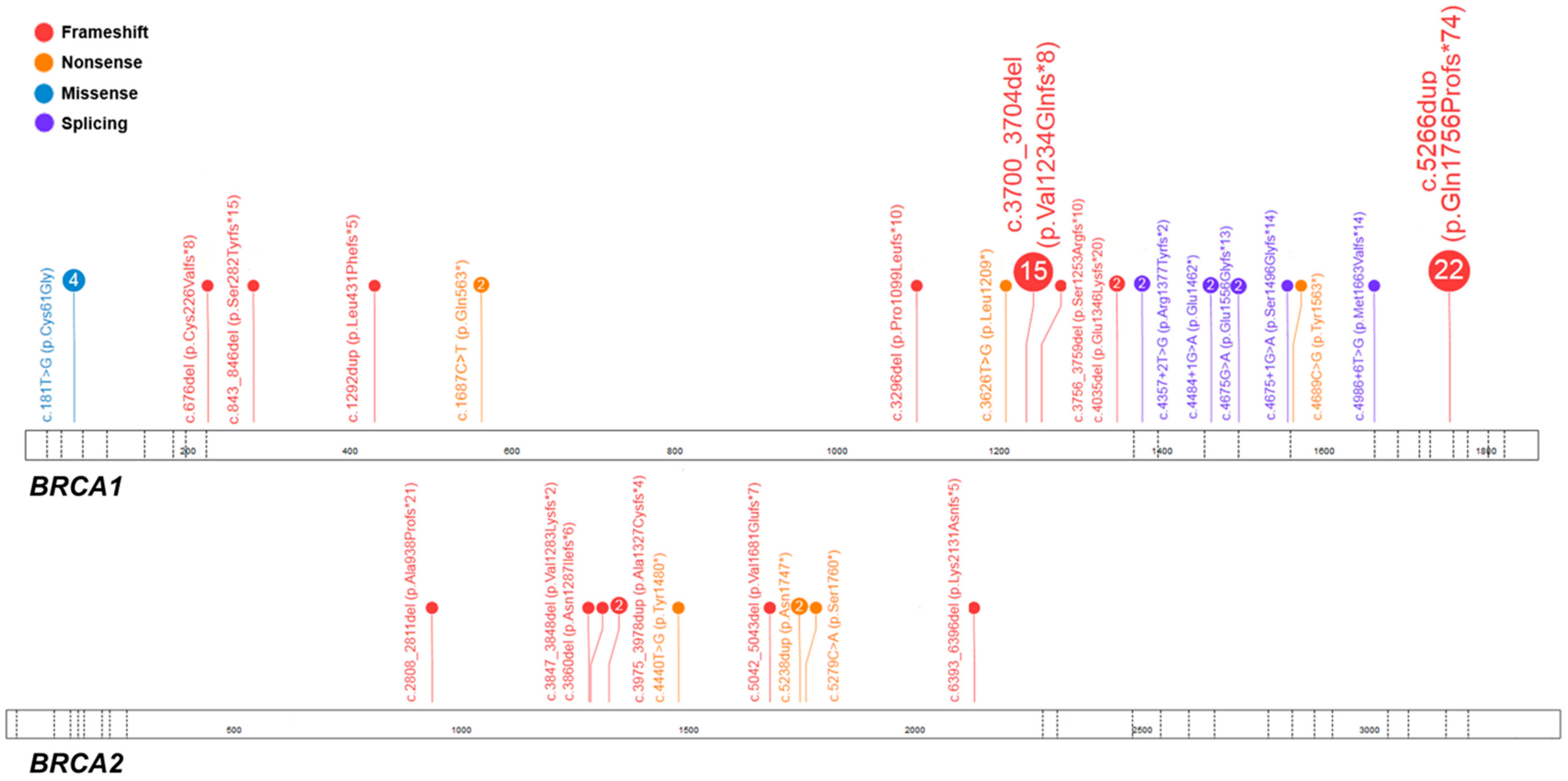Cancers 10 00442 g001 Cancers 10 00442 g001