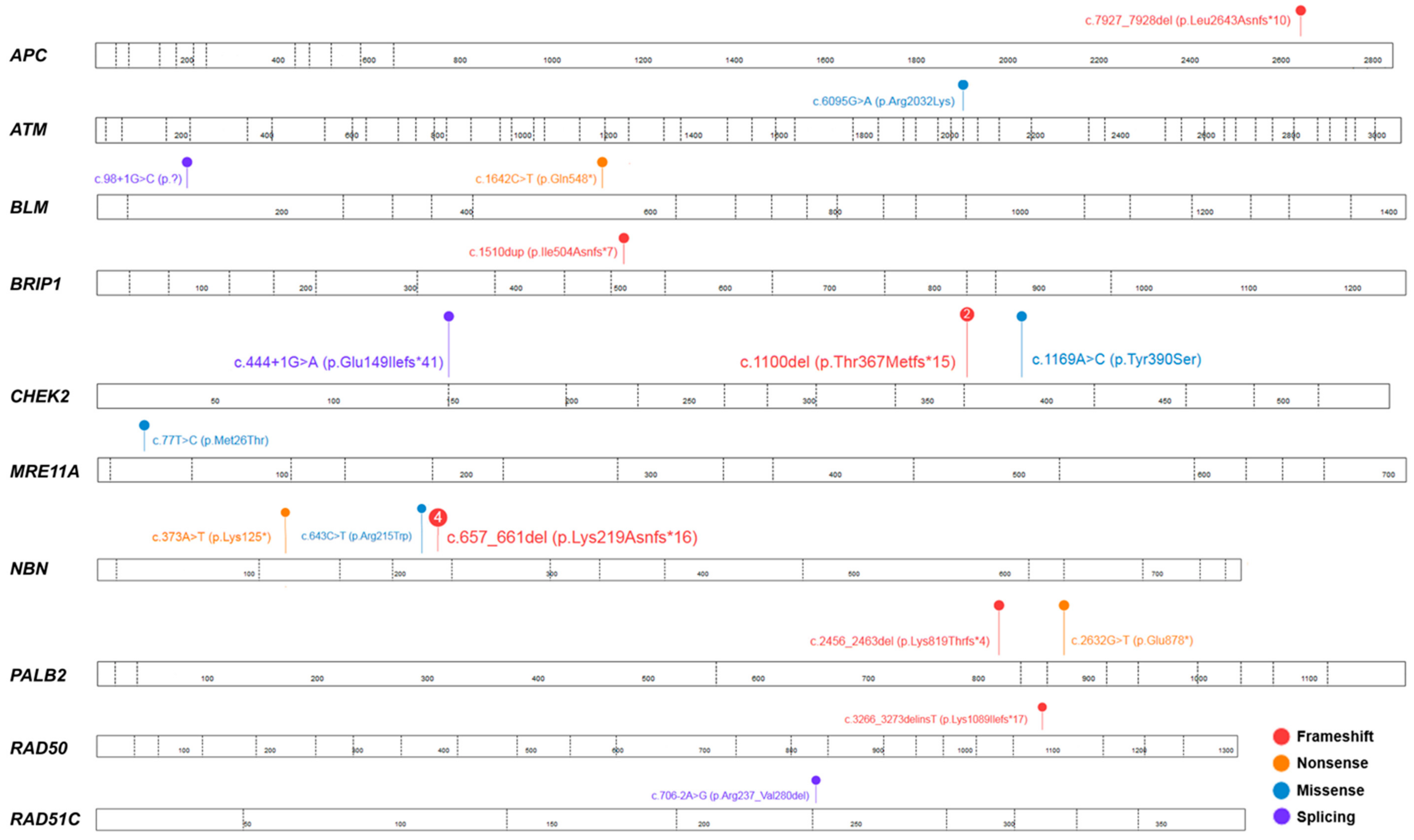 Cancers 10 00442 g002 Cancers 10 00442 g002