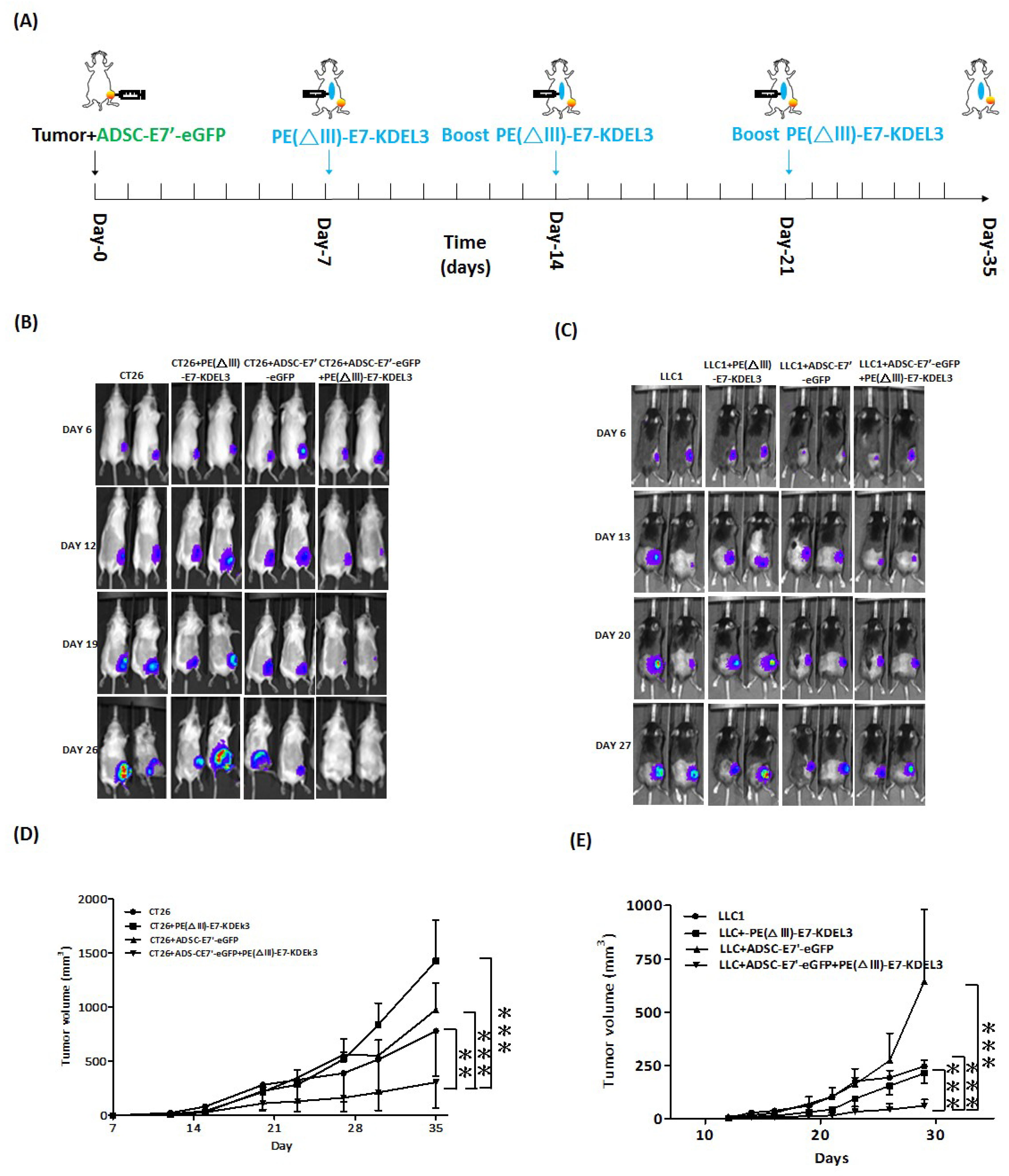 Cancers 10 00446 g002