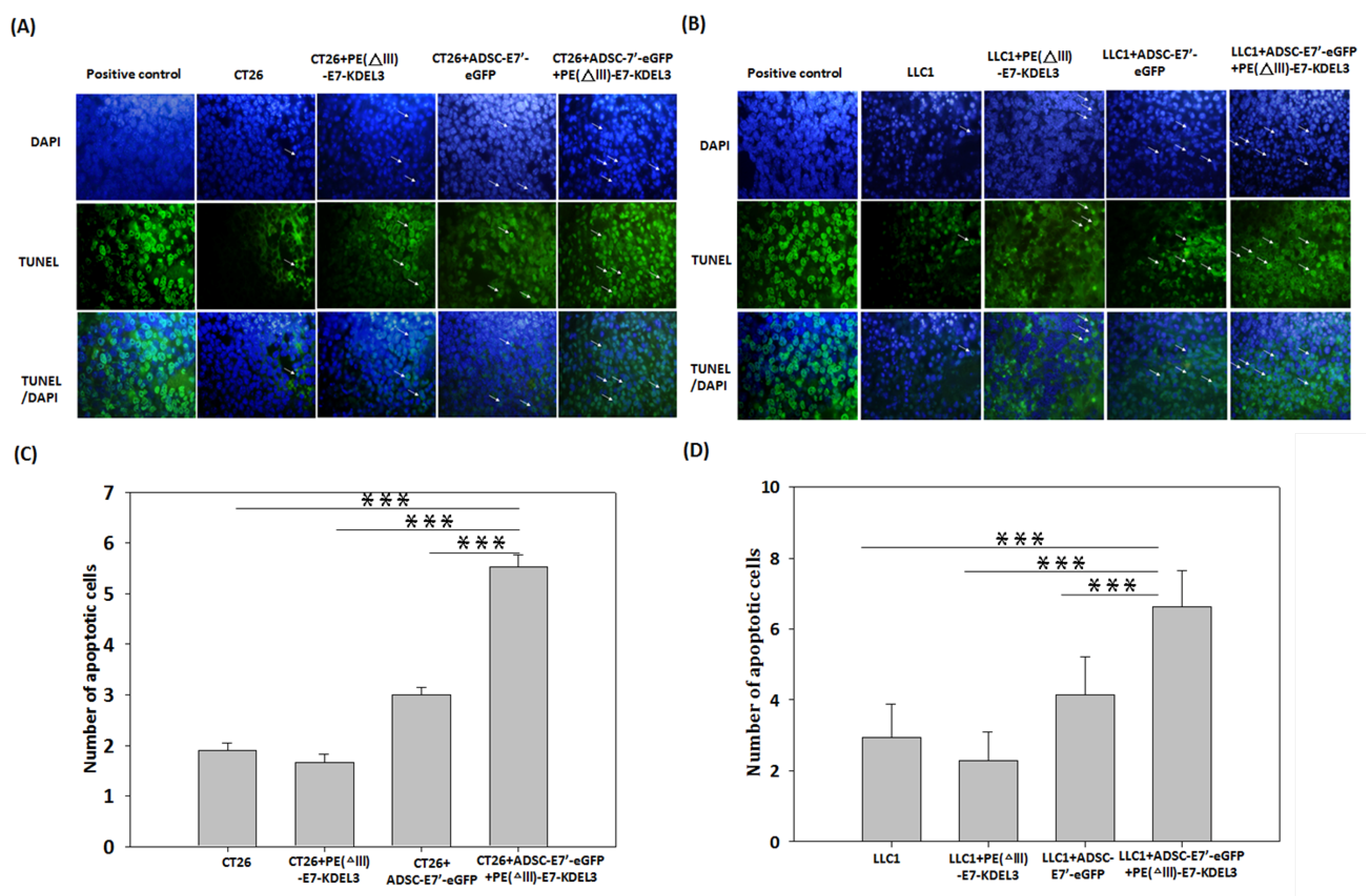 Cancers 10 00446 g004