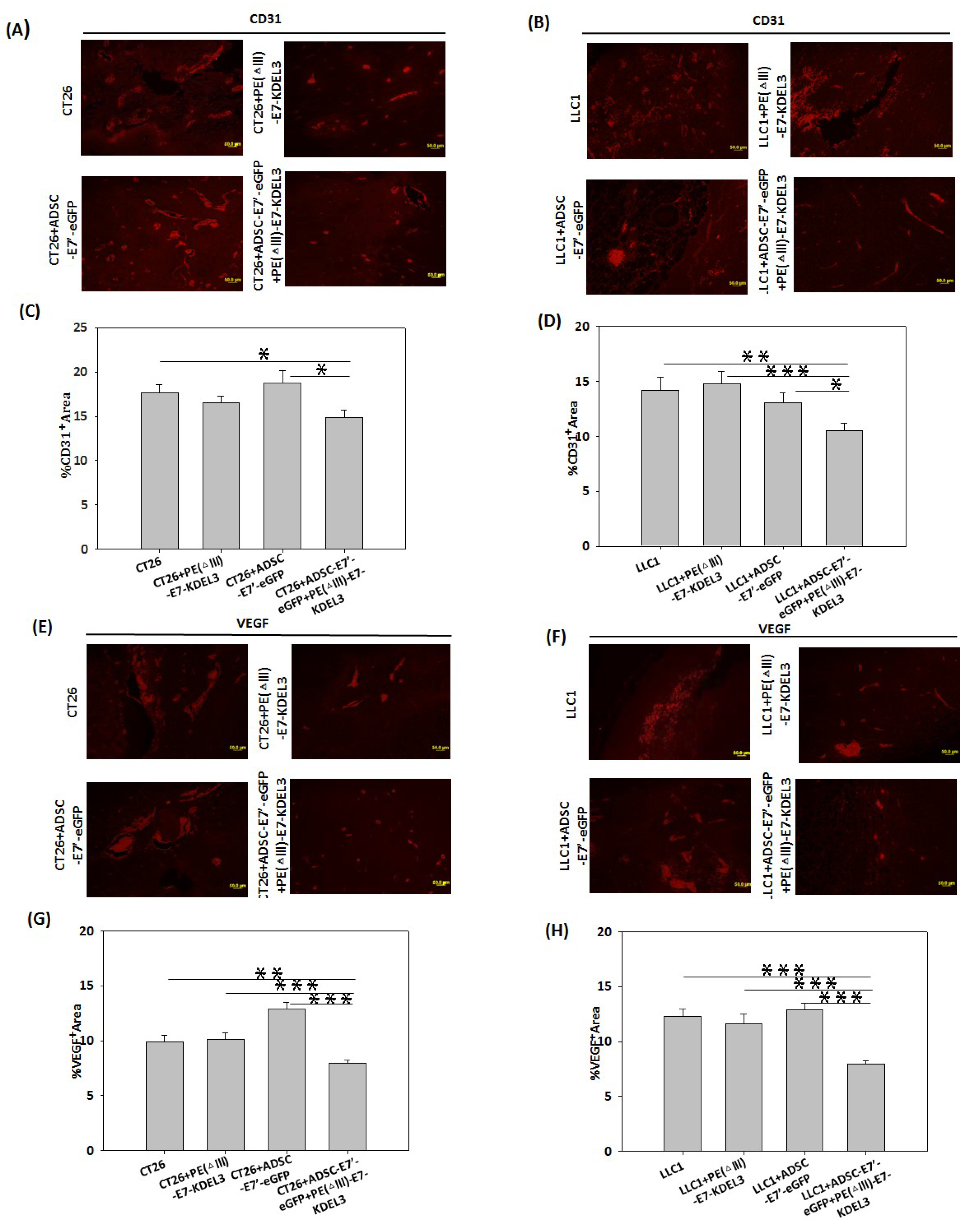 Cancers 10 00446 g005