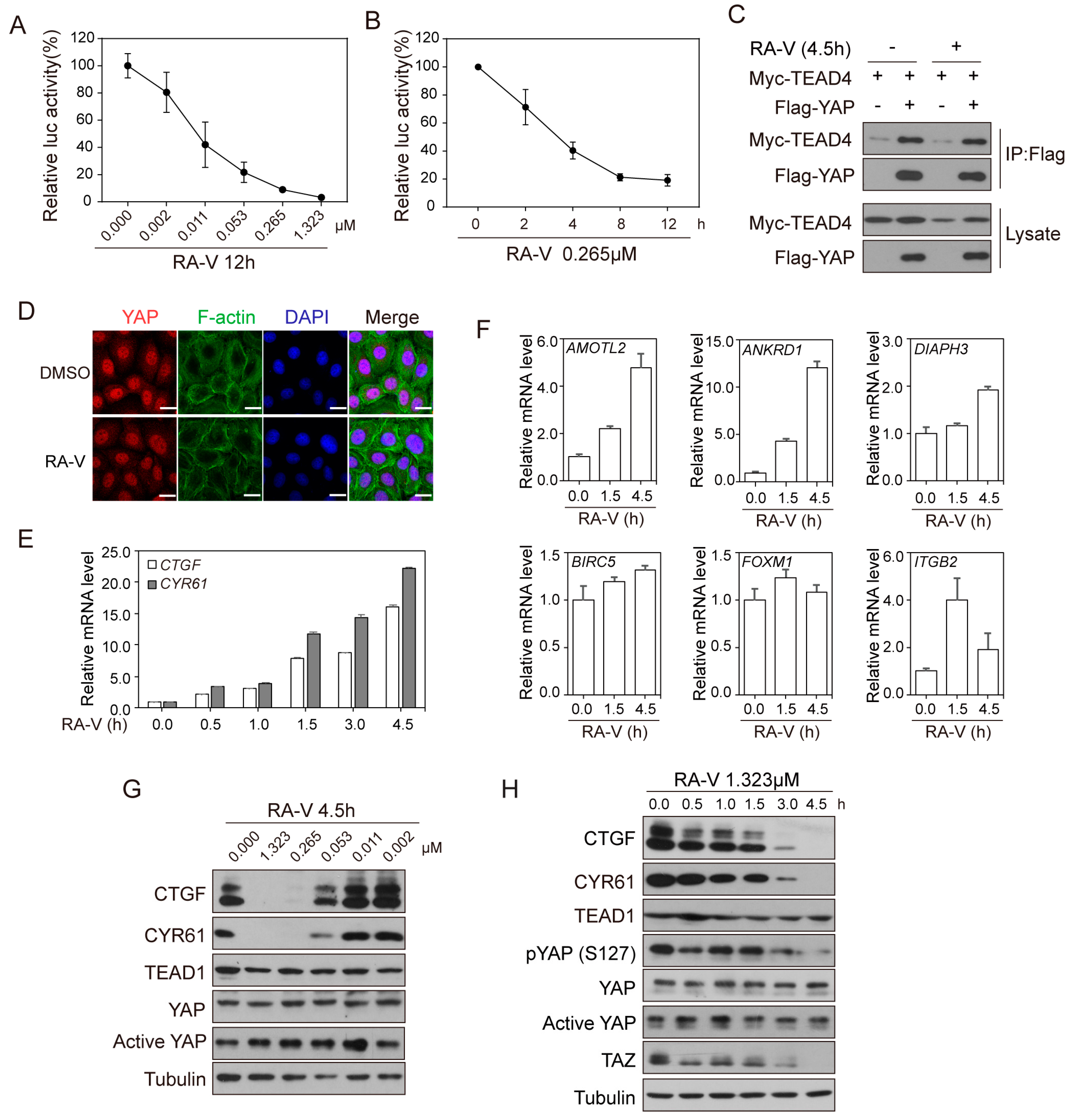 Cancers 10 00449 g002