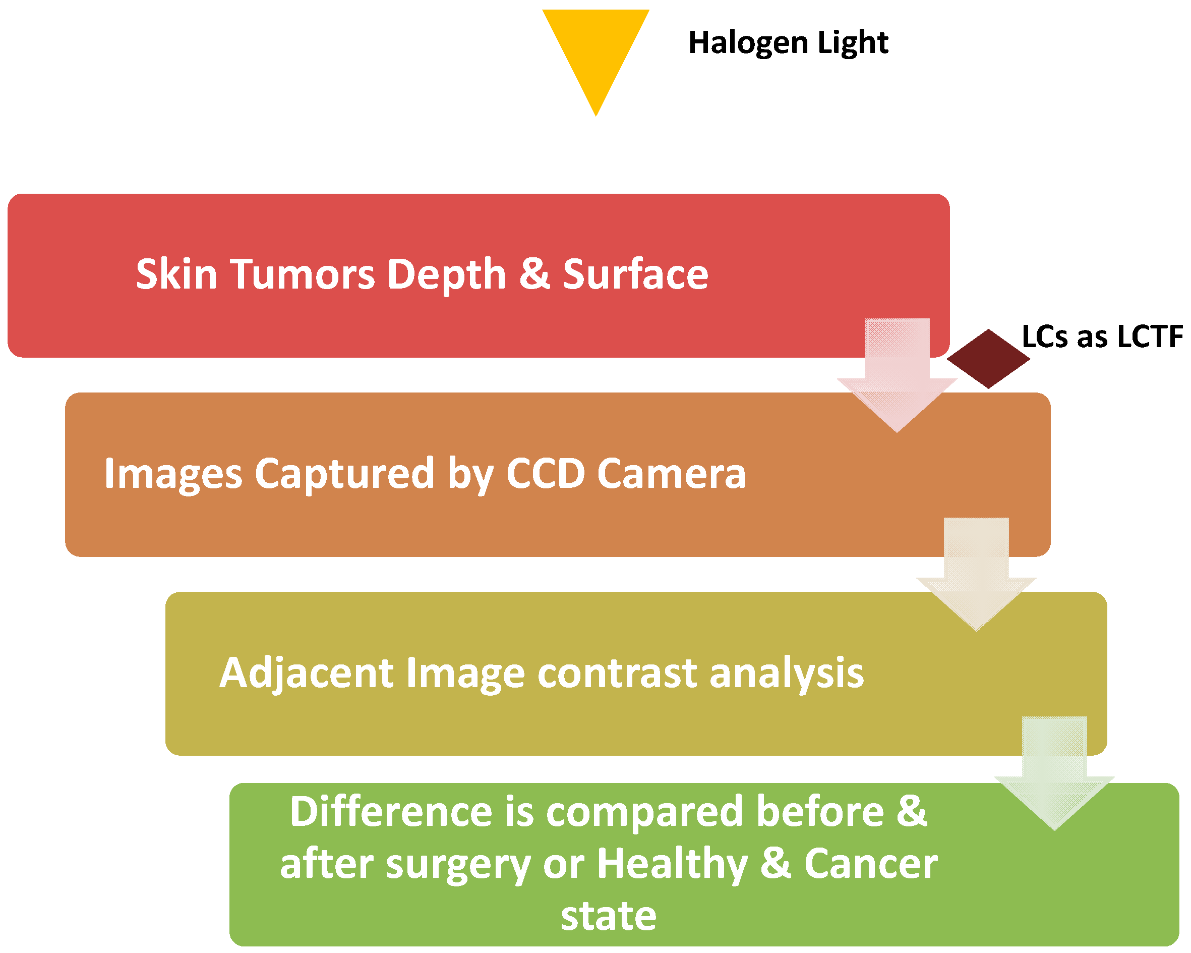 Cancers 10 00462 g006