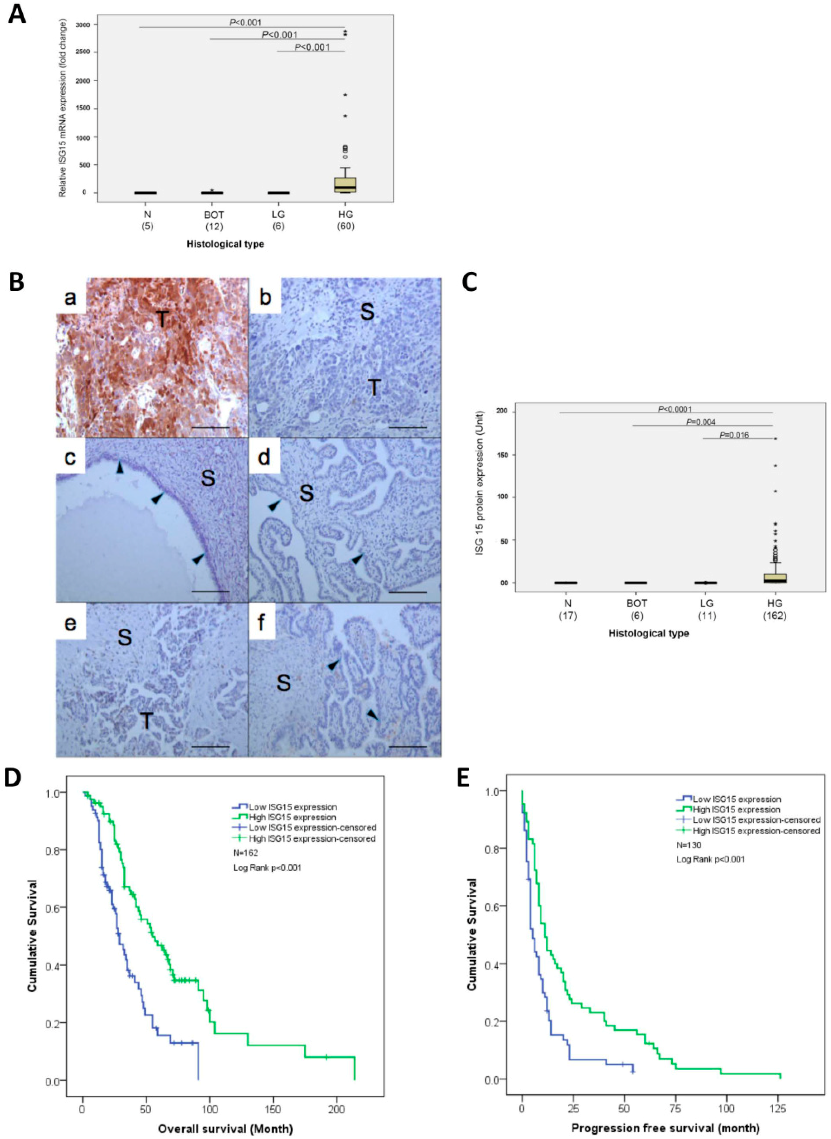 Cancers 10 00464 g002