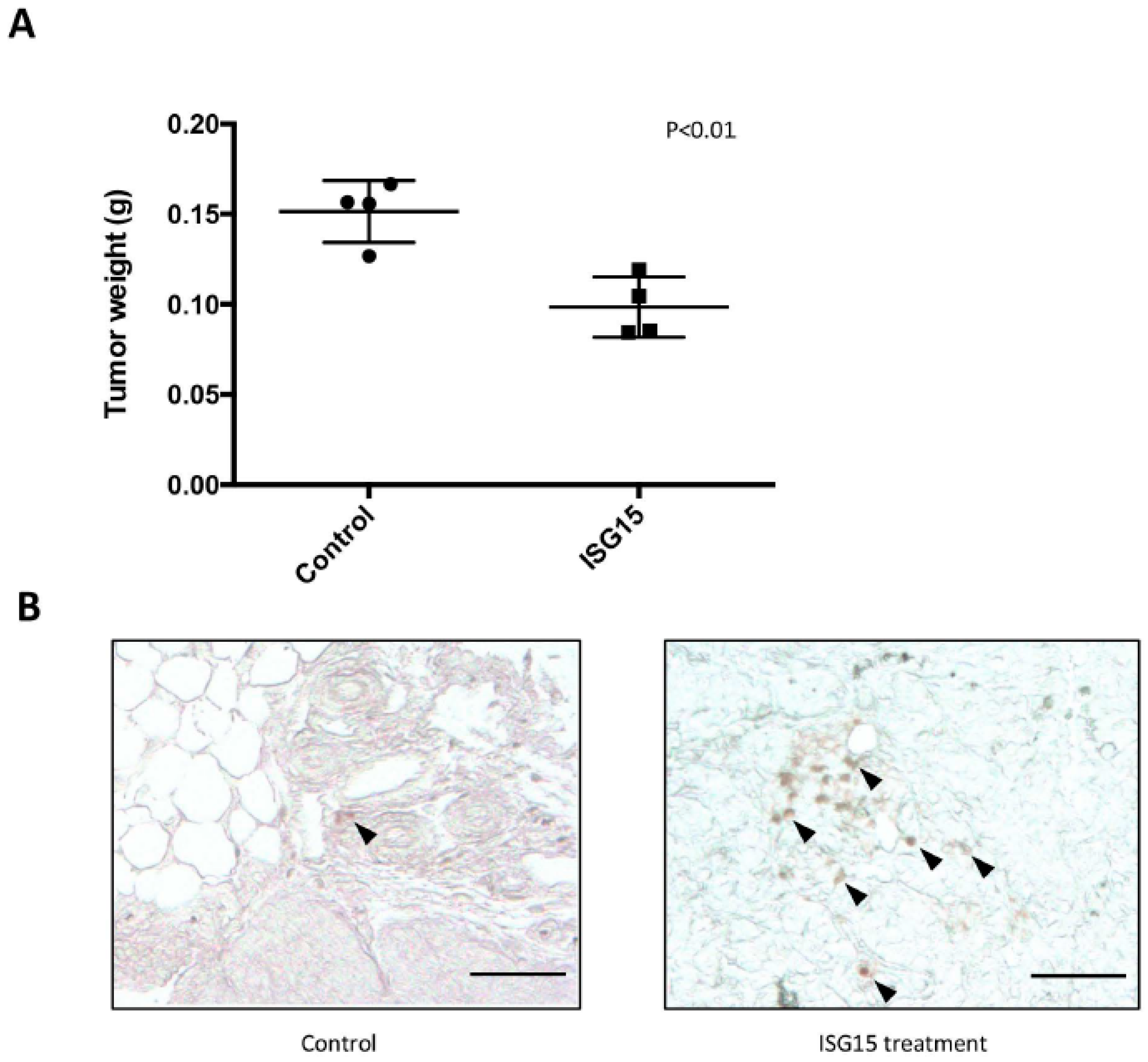 Cancers 10 00464 g007