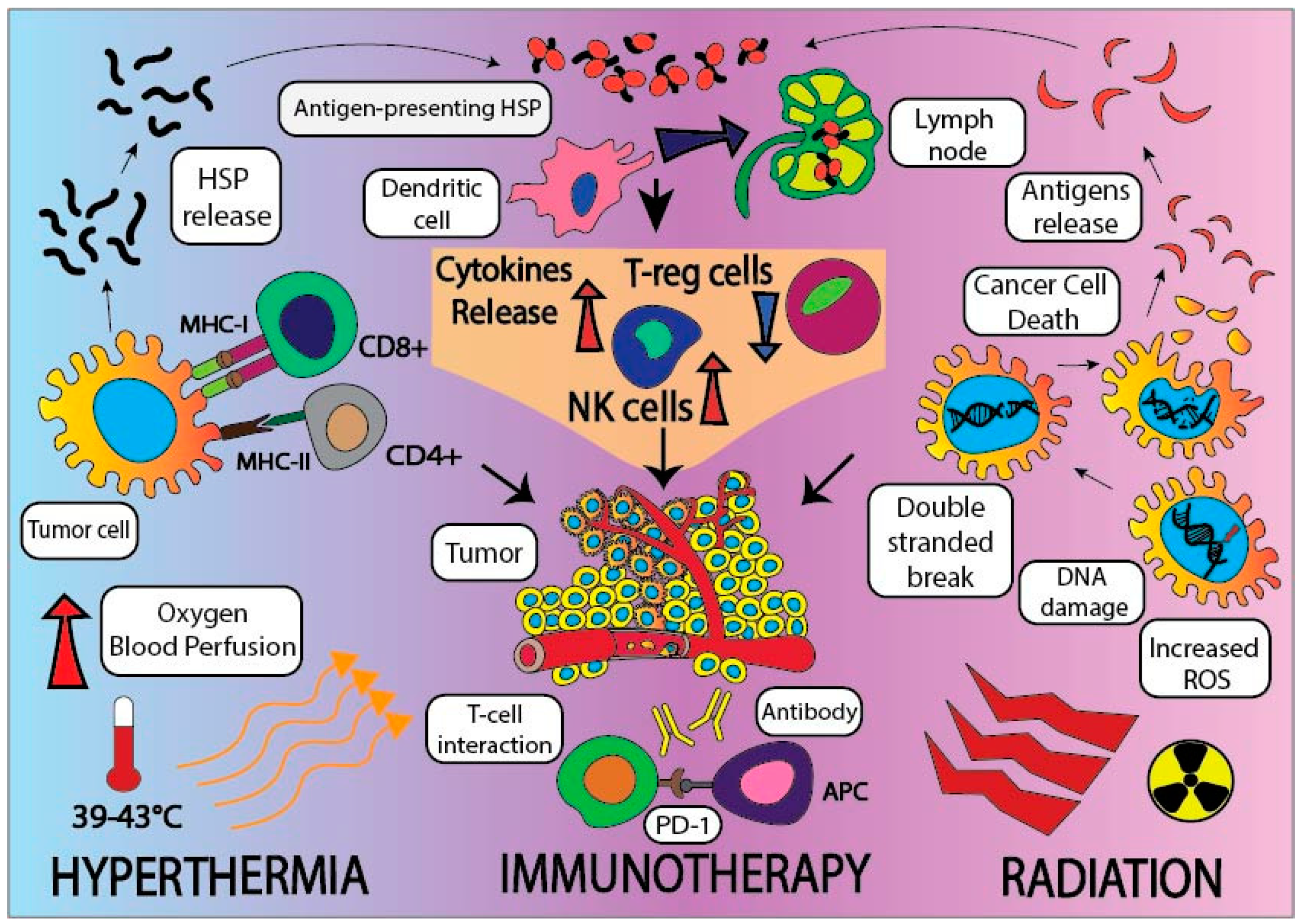 Cancers 10 00469 g002