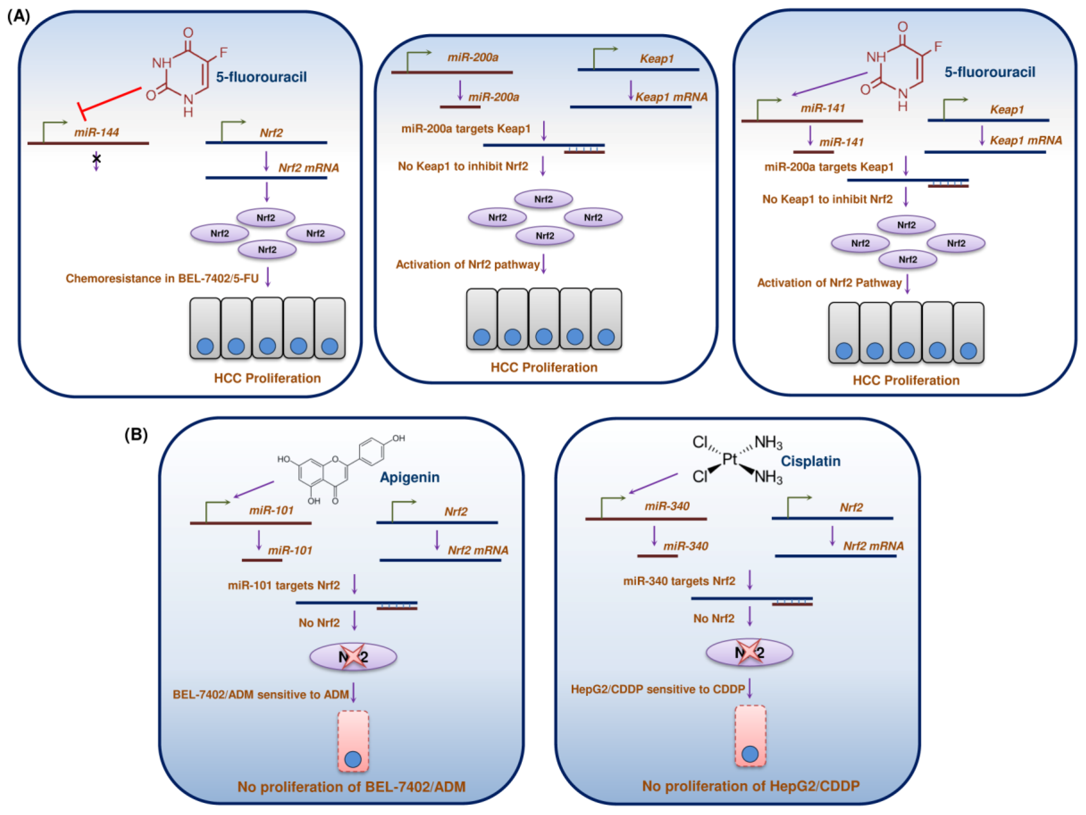 Cancers 10 00481 g007
