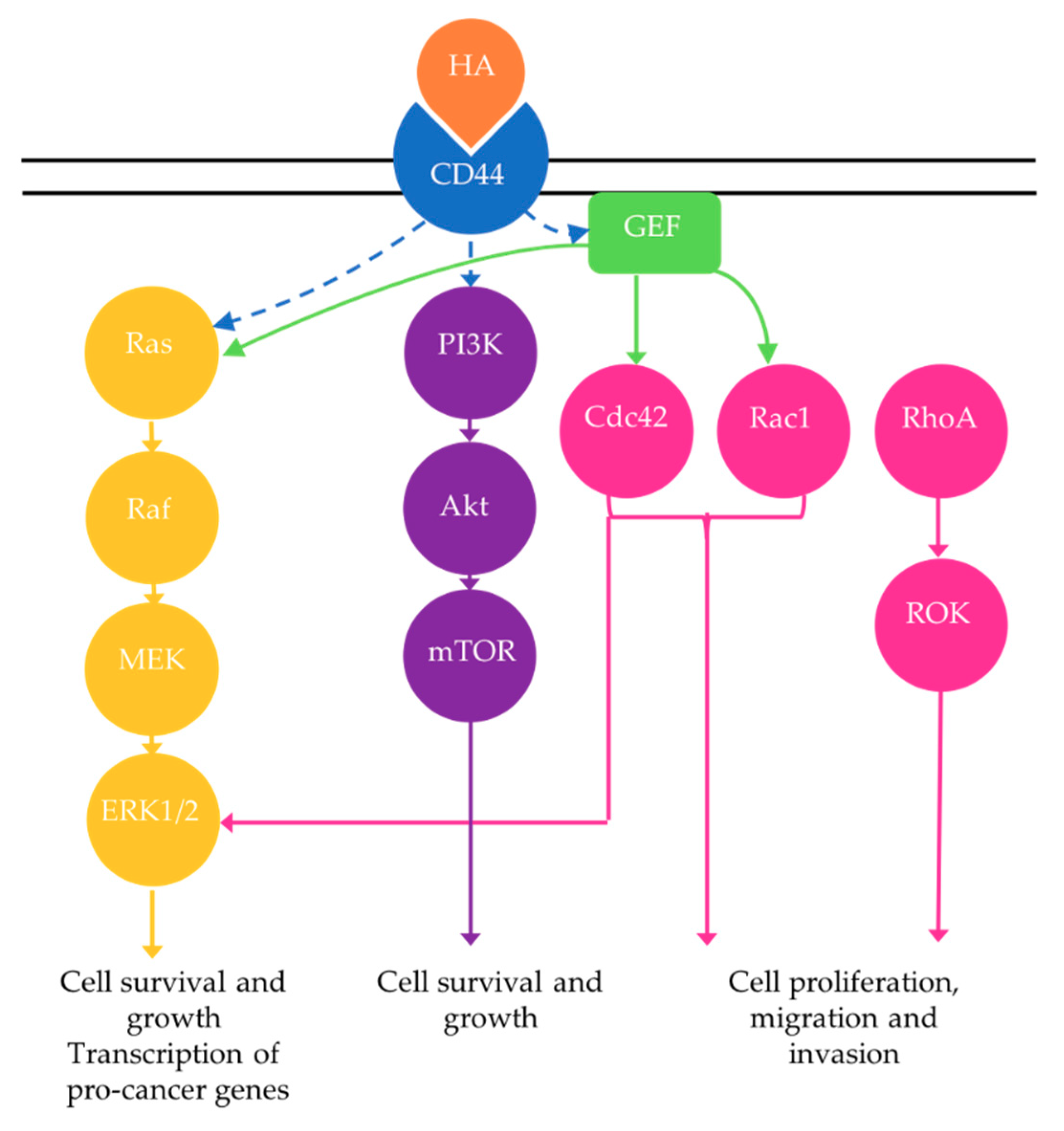 Cancers 10 00482 g002