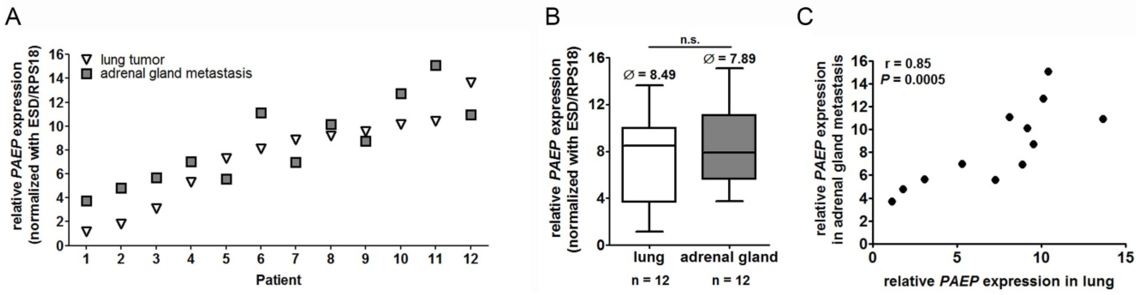 Cancers 10 00486 g001a