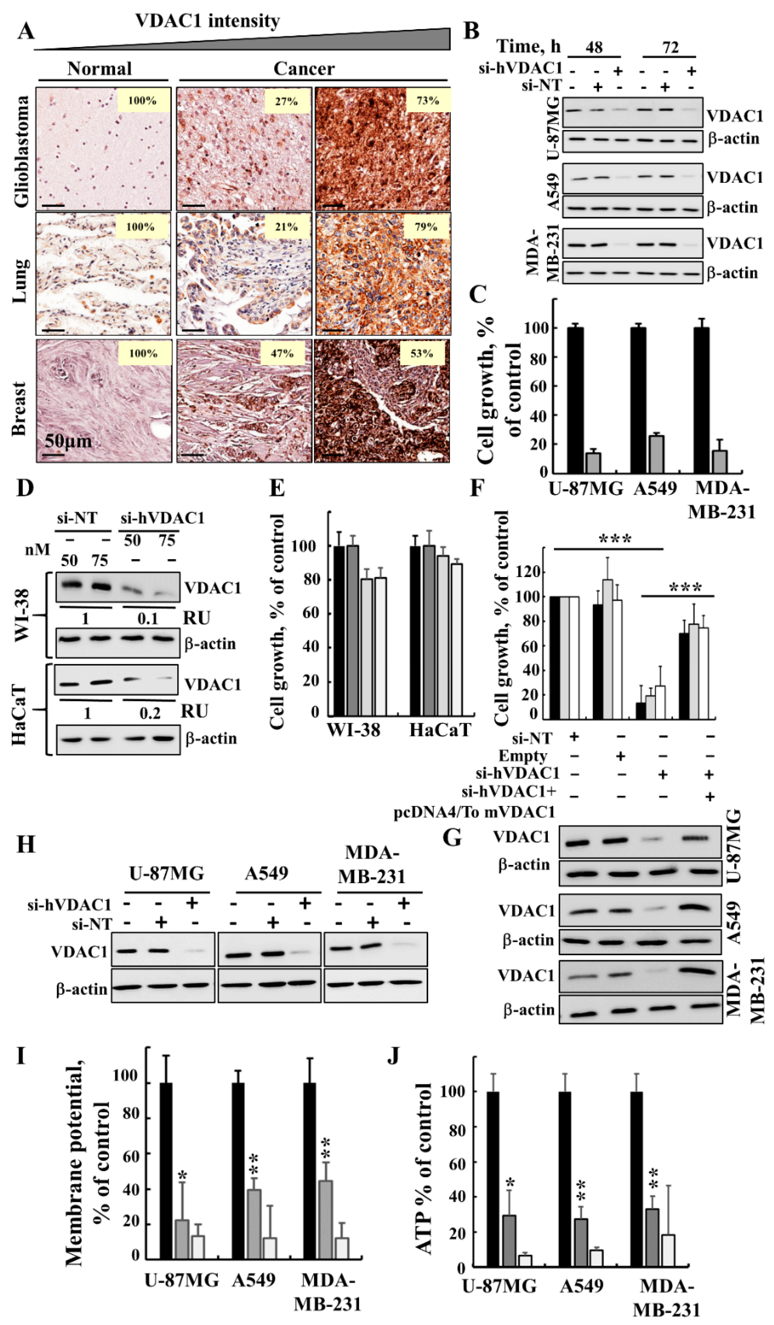 Cancers 10 00499 g001
