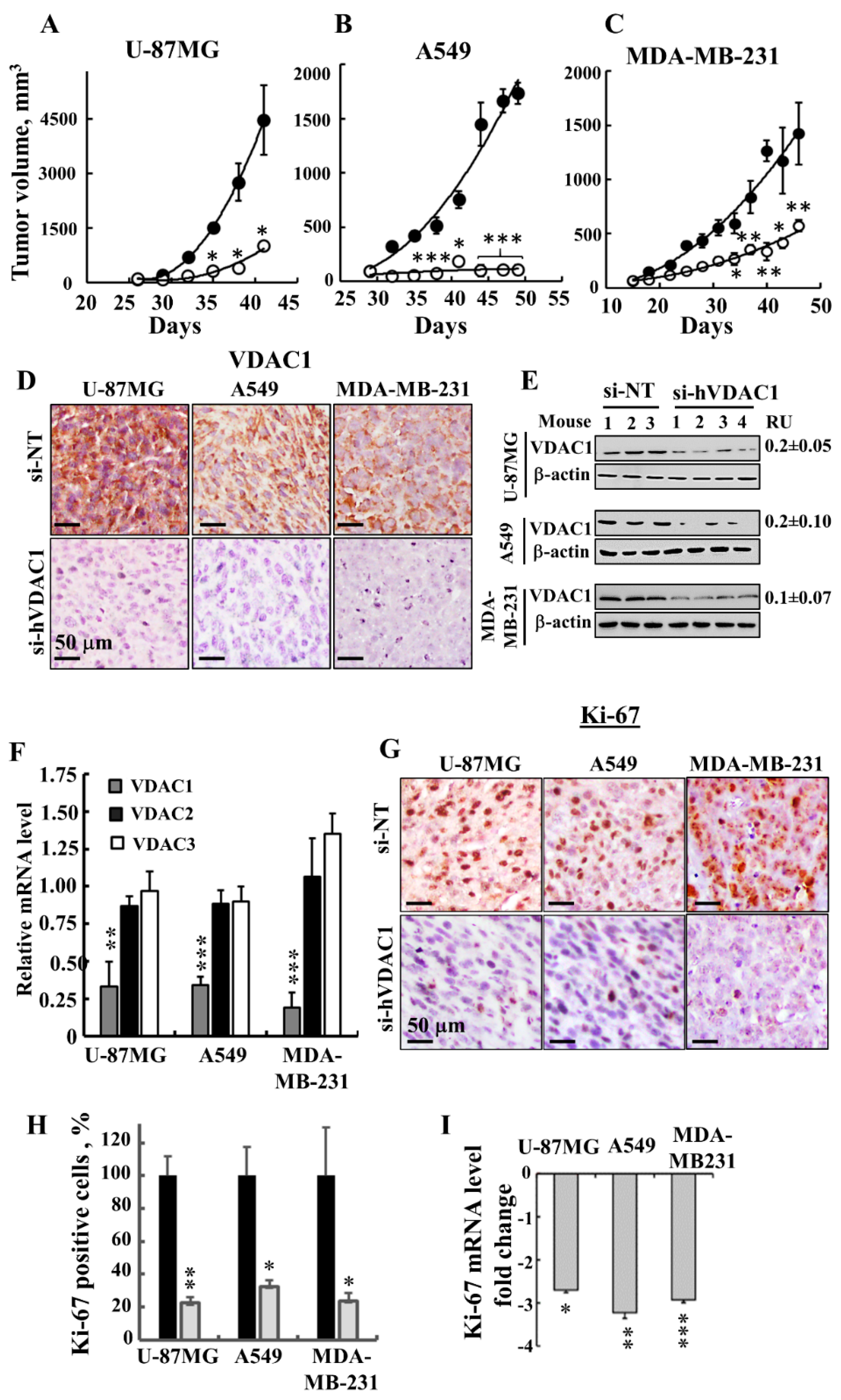 Cancers 10 00499 g002