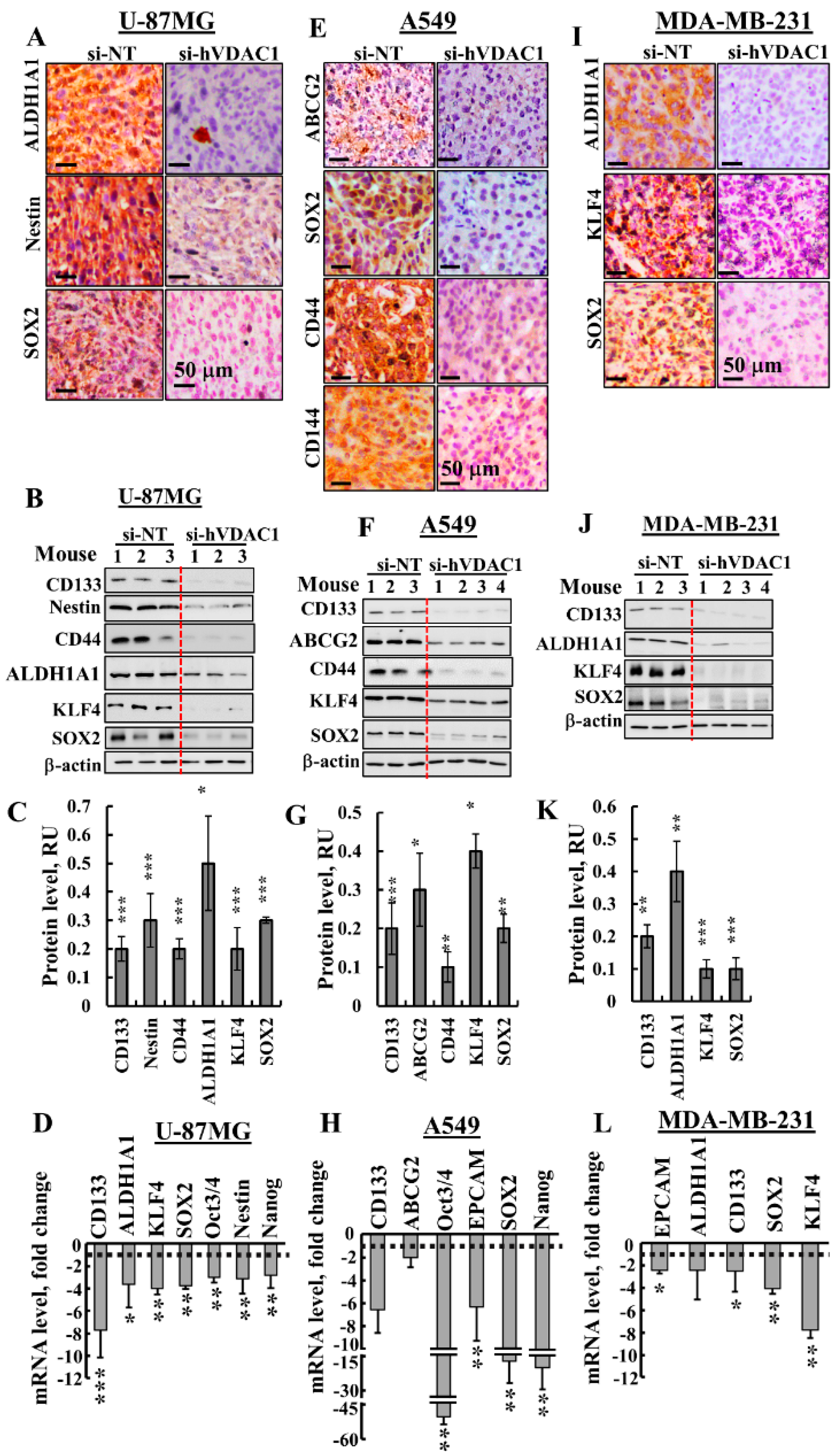 Cancers 10 00499 g004
