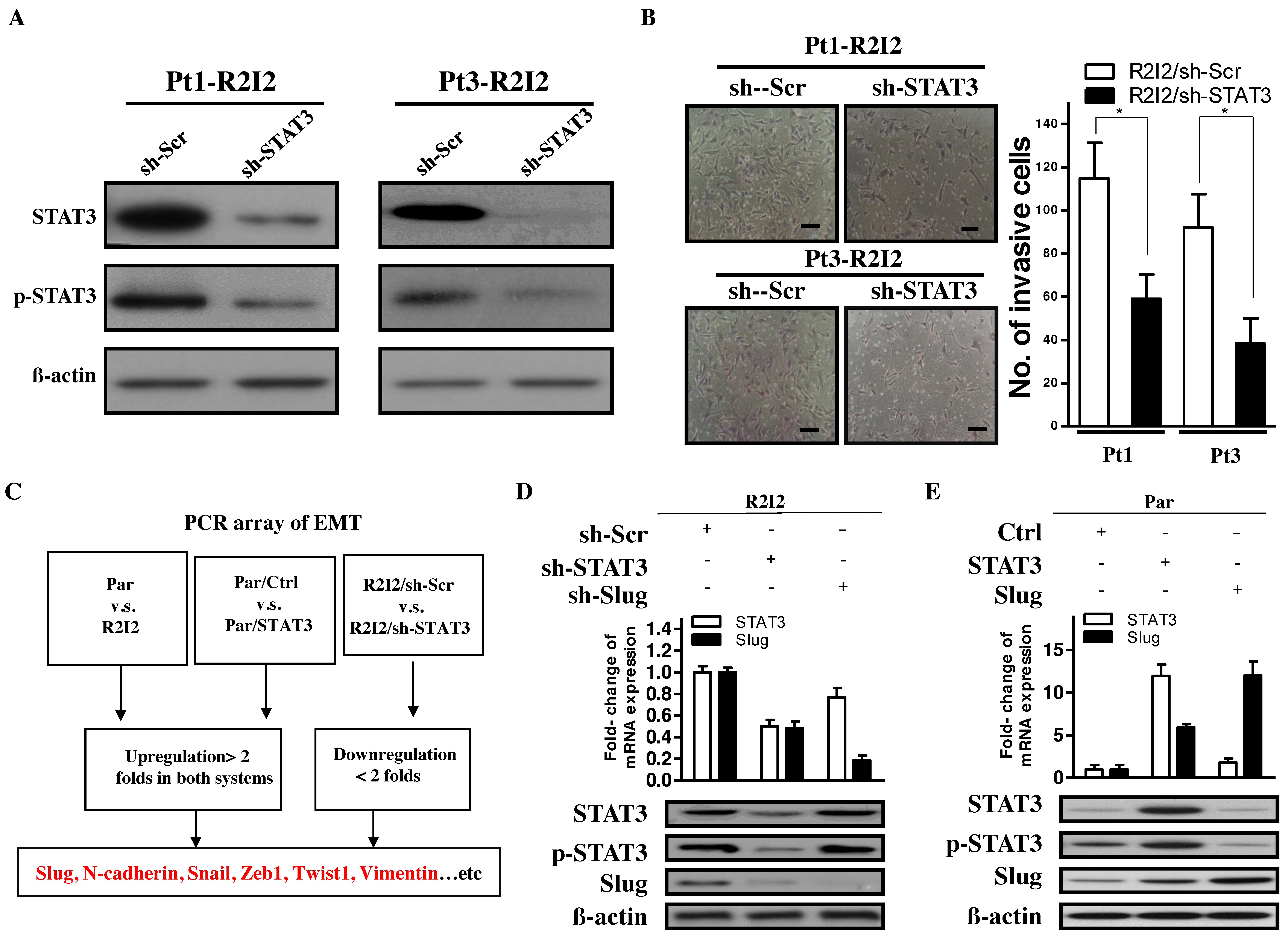 Cancers 10 00512 g002